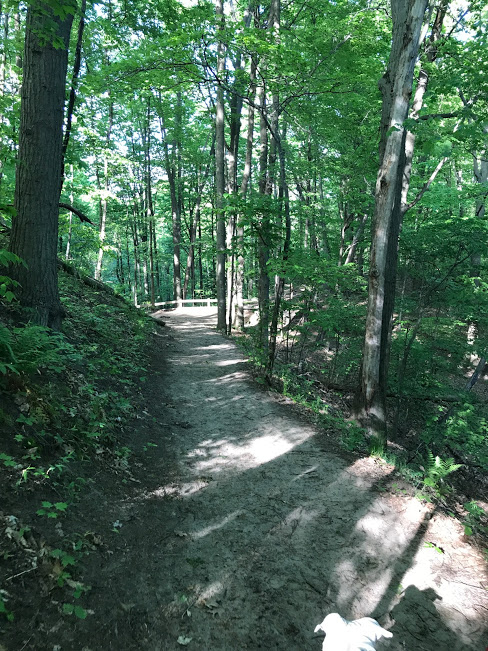 some trails are ADA accessible, while others have fun uphill climbs . 