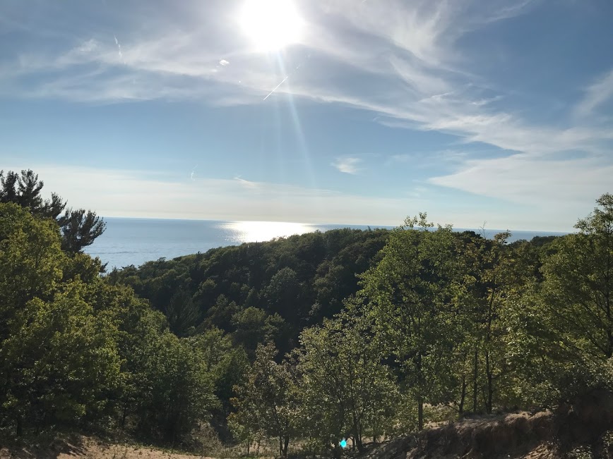 Awesome views of the lake and trees from the hiking trails