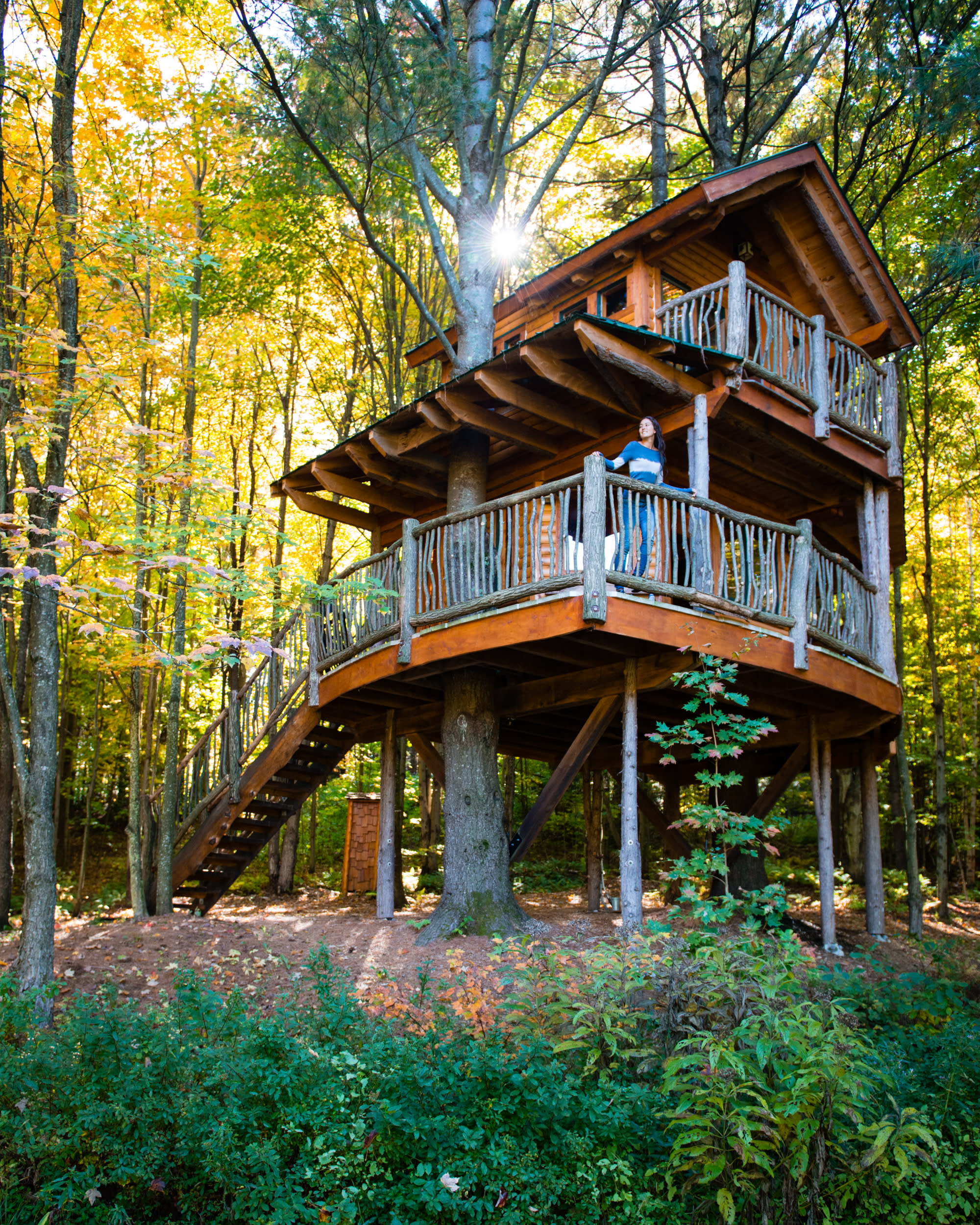 Moose Meadow Lodge & Treehouse