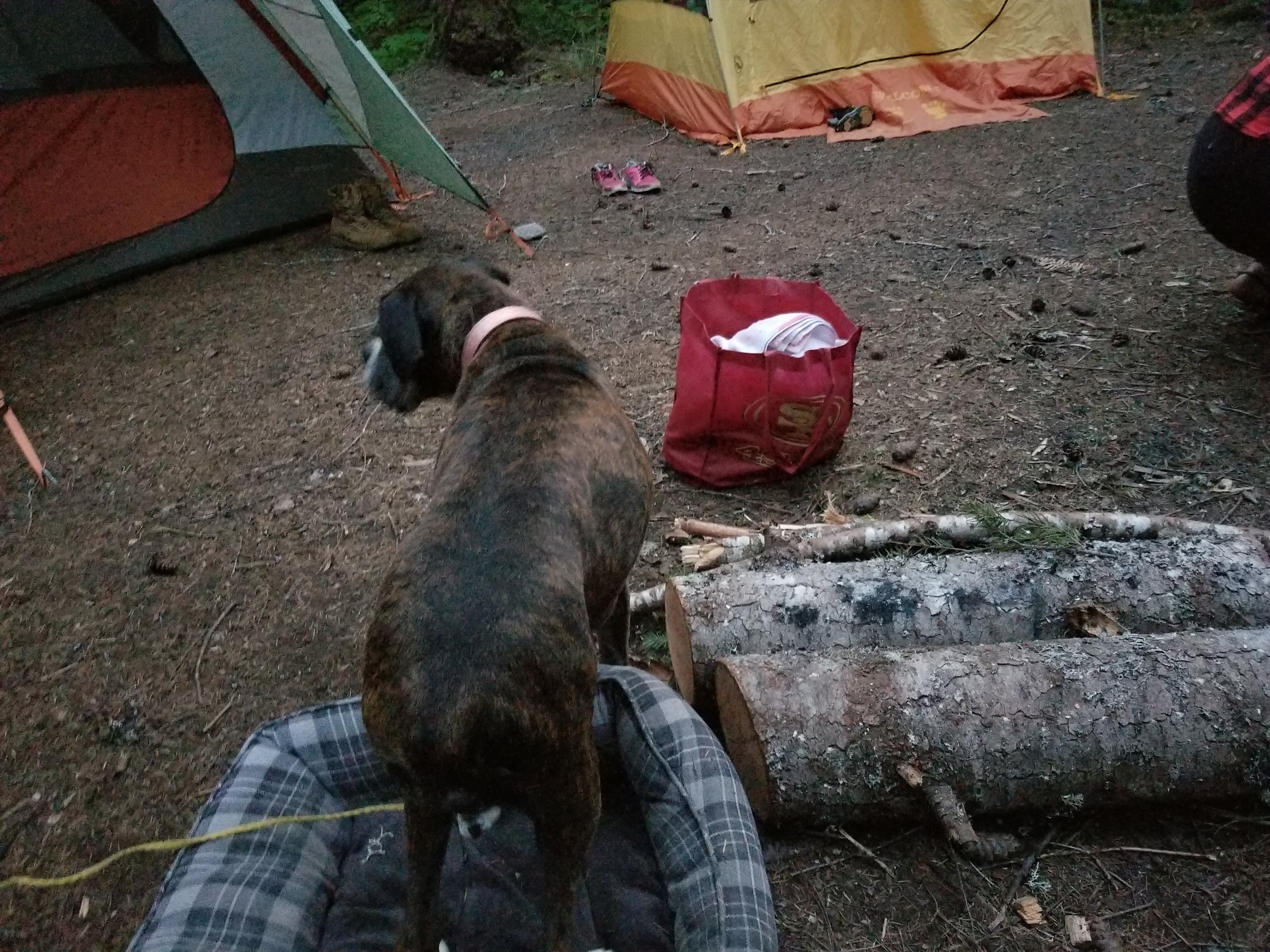 Lower Falls Campground