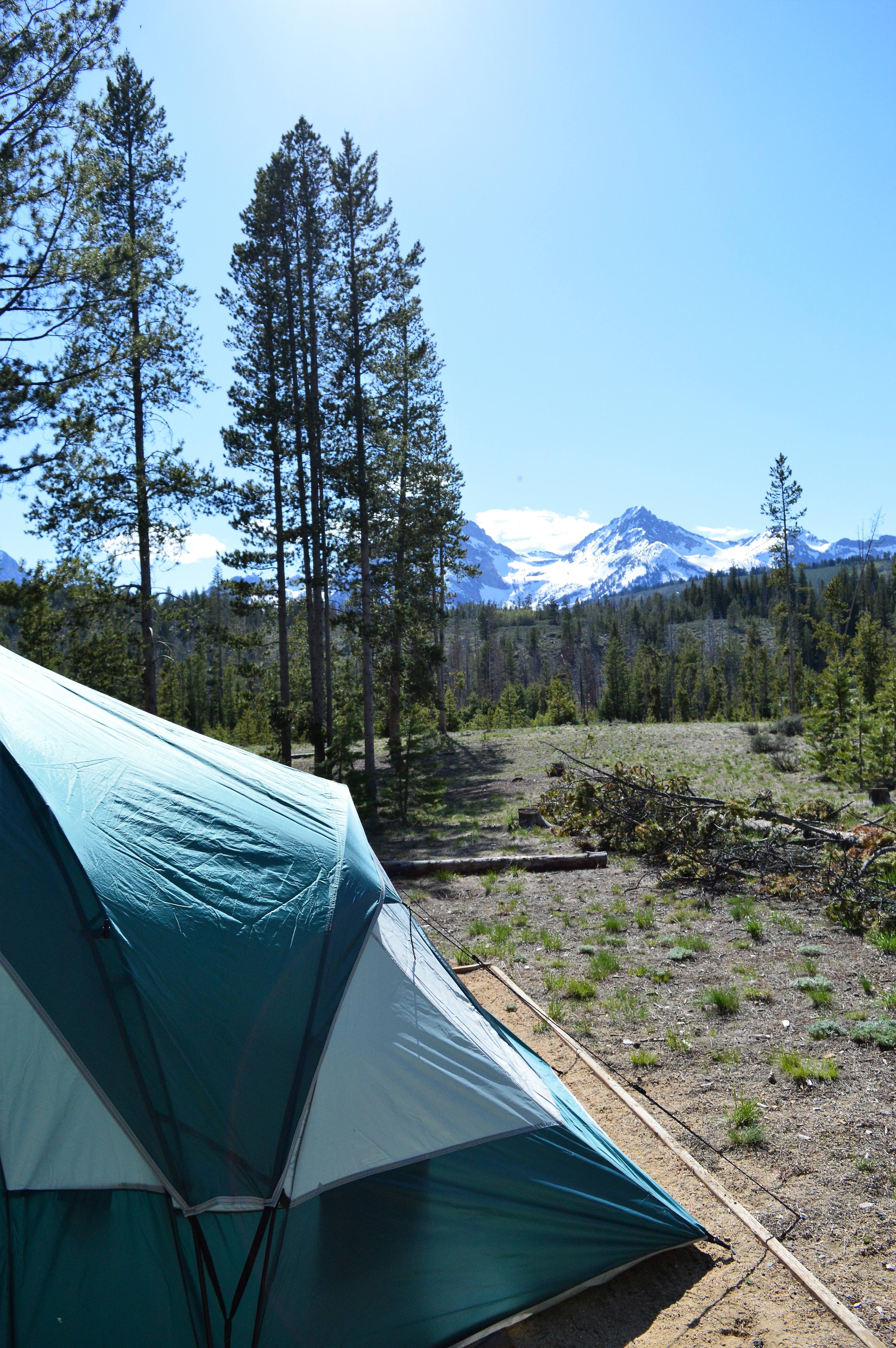 "Room" with a view in the C loop, site #63 of the Glacier View Campground
