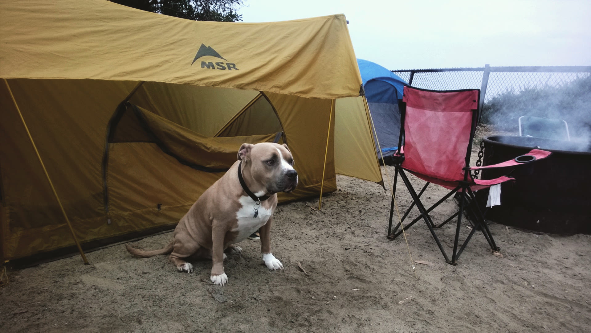 Family & dog friendly beach camping. Right on the main road, so it's hardly peaceful. Pretty small lots, limited parking and very crowded. It's not on the beach, but its