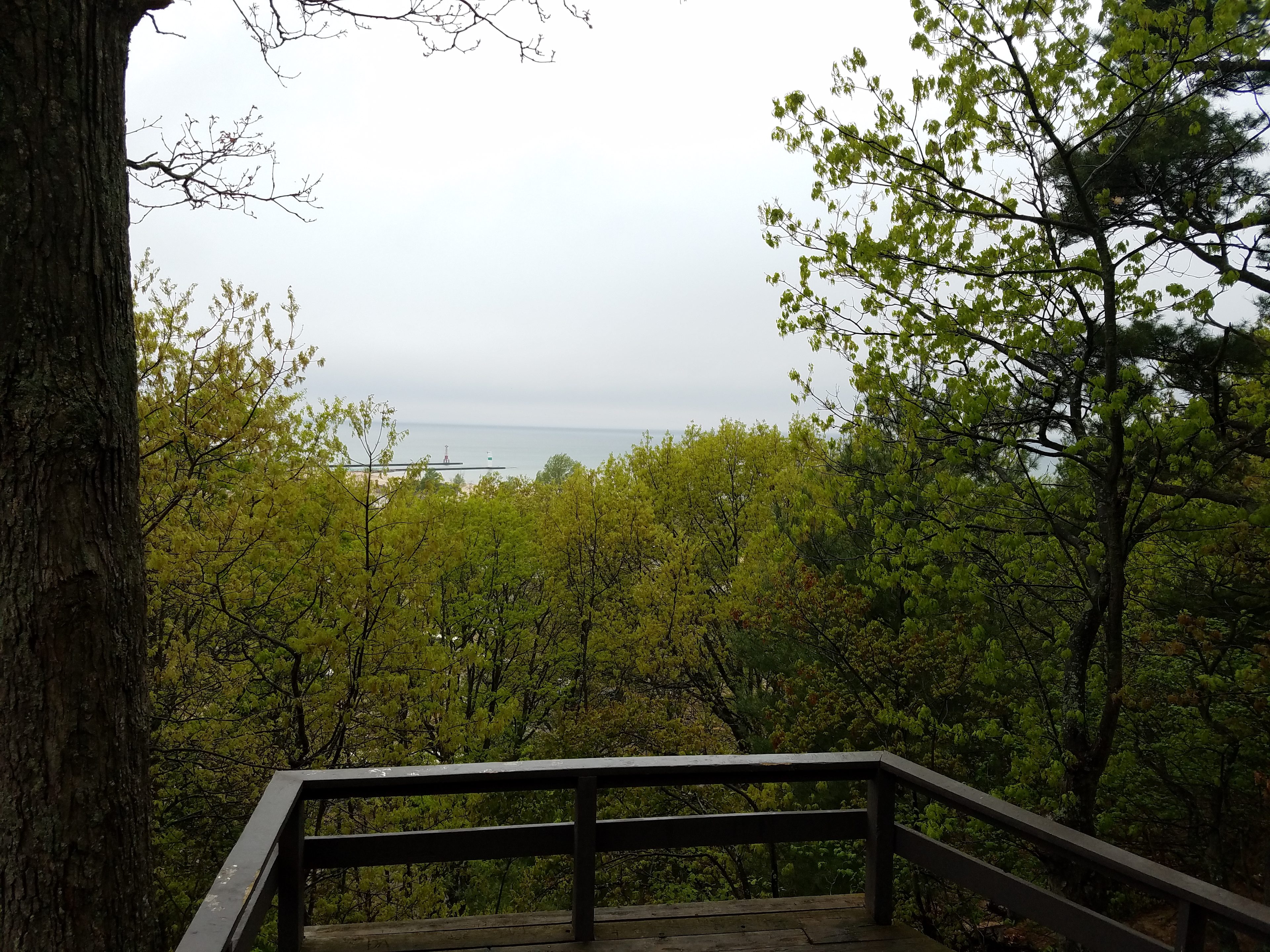 View of dunes (blocking the Lake) from the site.
