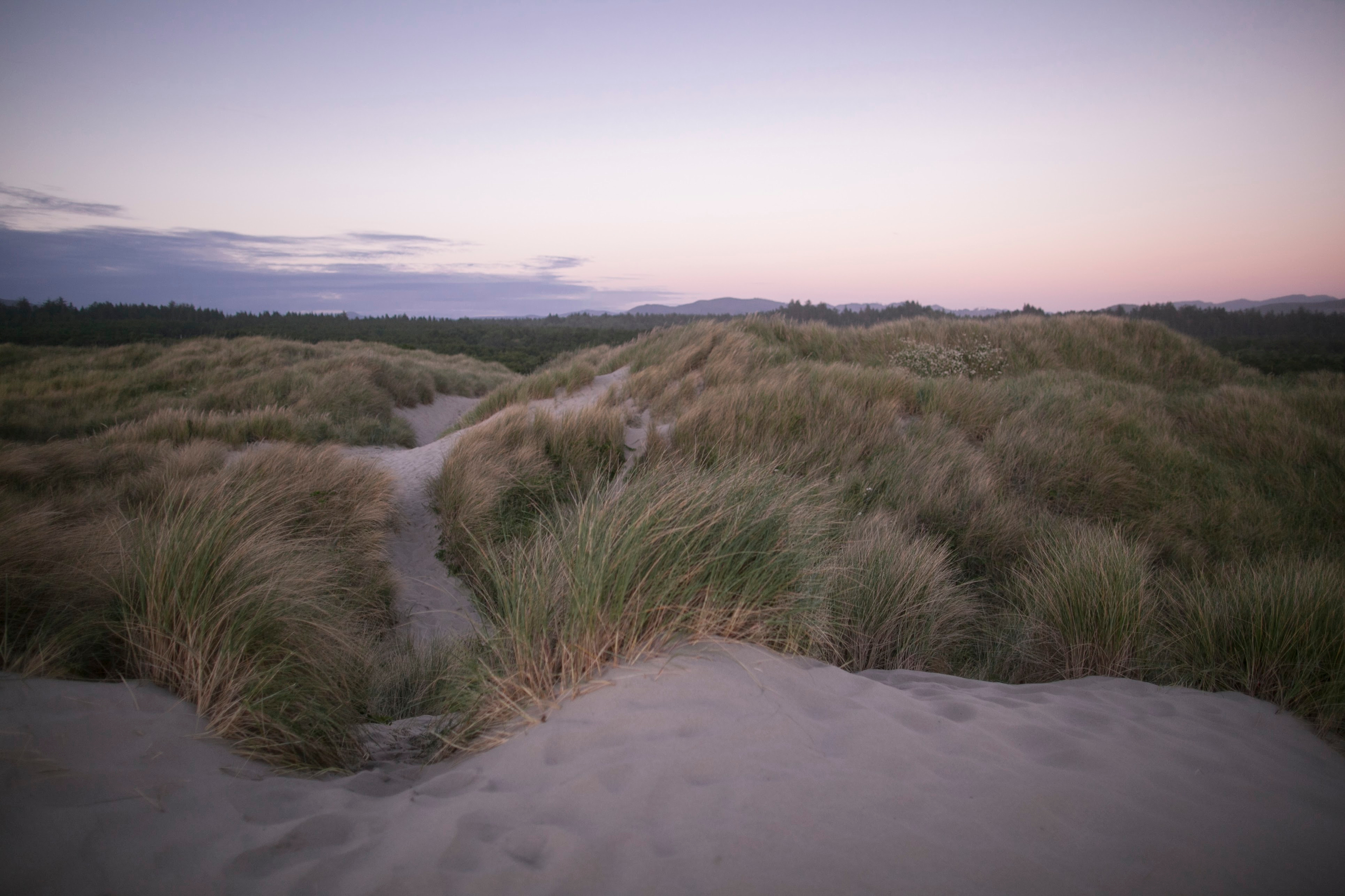 Nehalem Bay State Park
