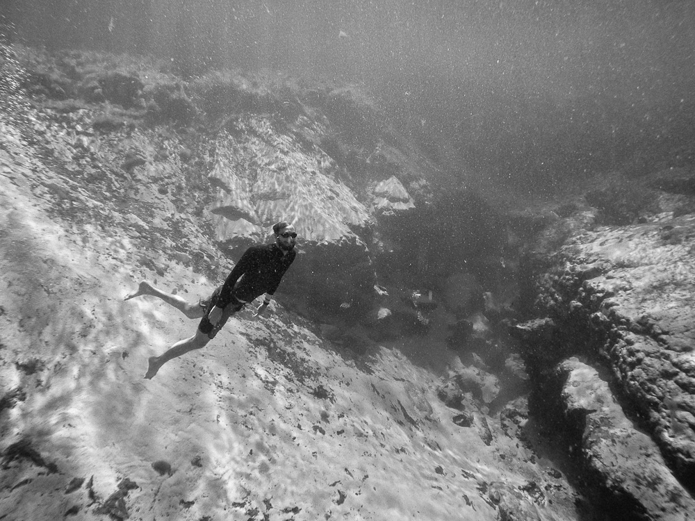 Ocala National Forest