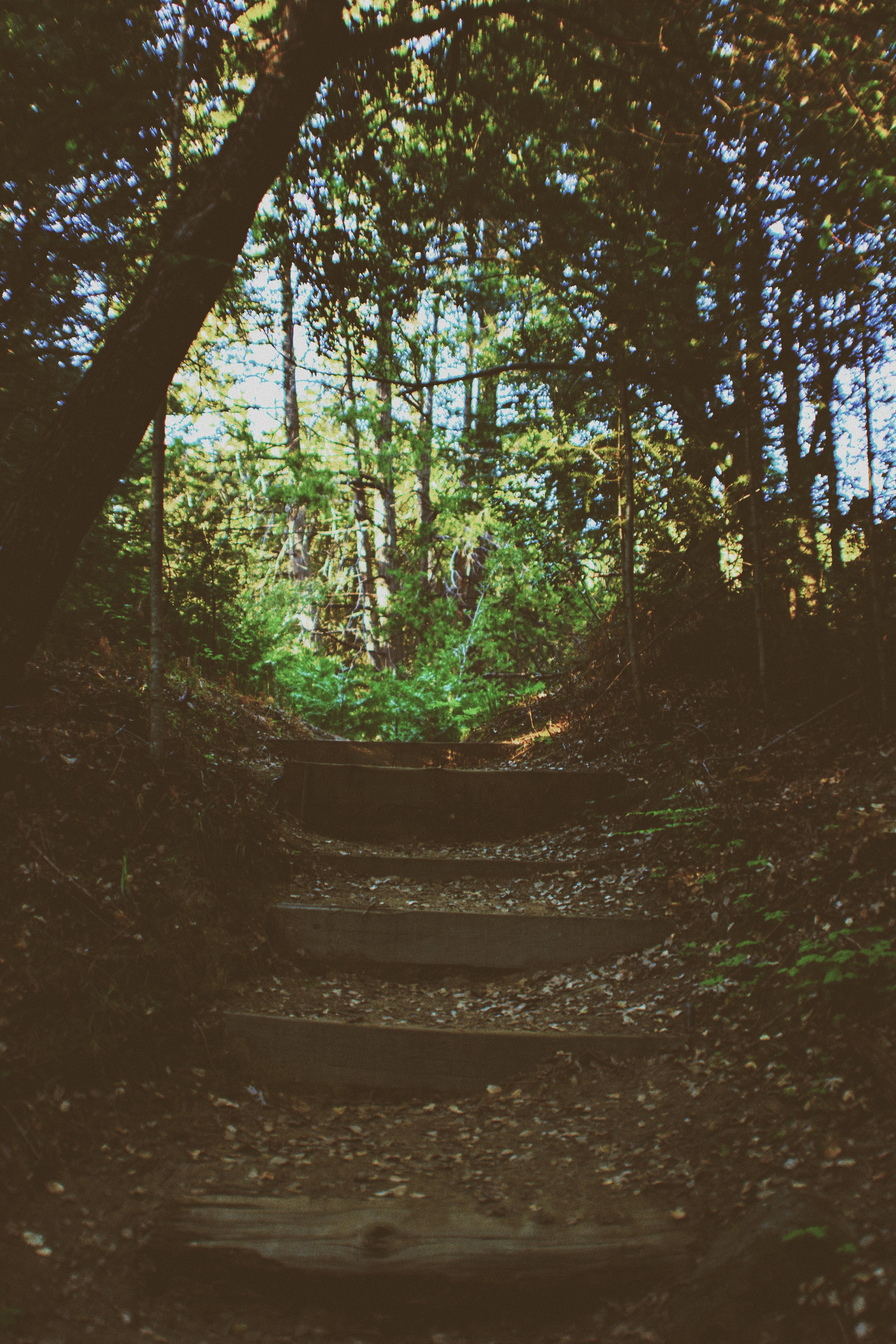 Great nature trail with its trail head right in the middle of the campground, always a plus. 