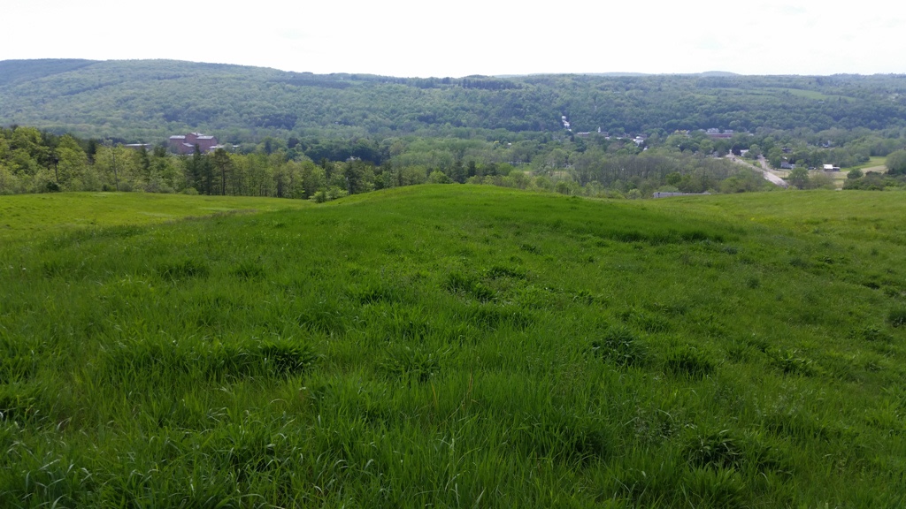 Looking West with Montour Falls in the background in early Spring