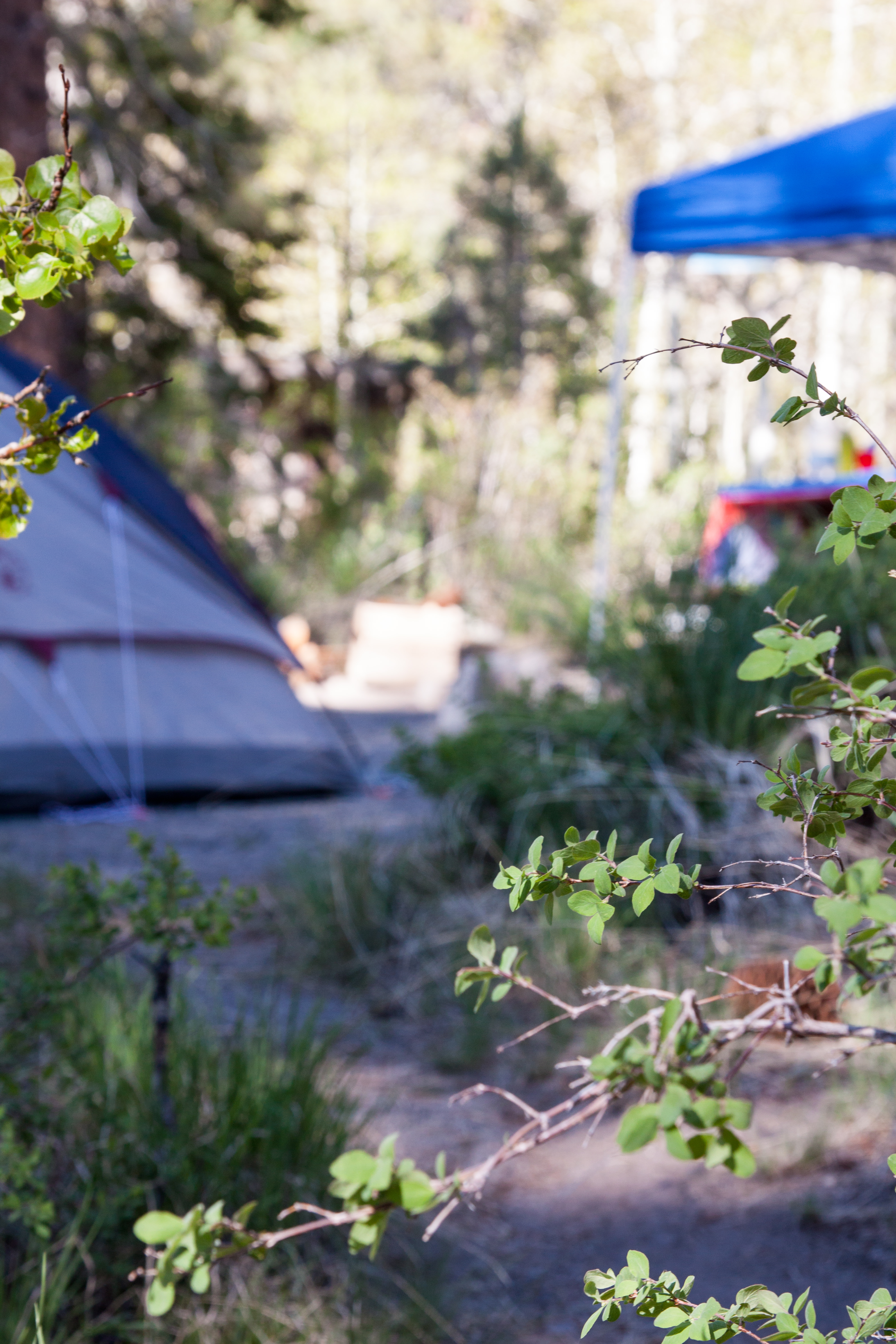 Four and five are great sites if you have a large group and need two spots. 