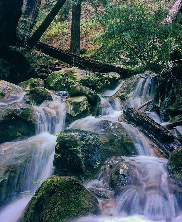 There are many amazing waterfalls throughout the Ventana wilderness so be sure to travel a bit off the beaten path to find the real hidden gems. 