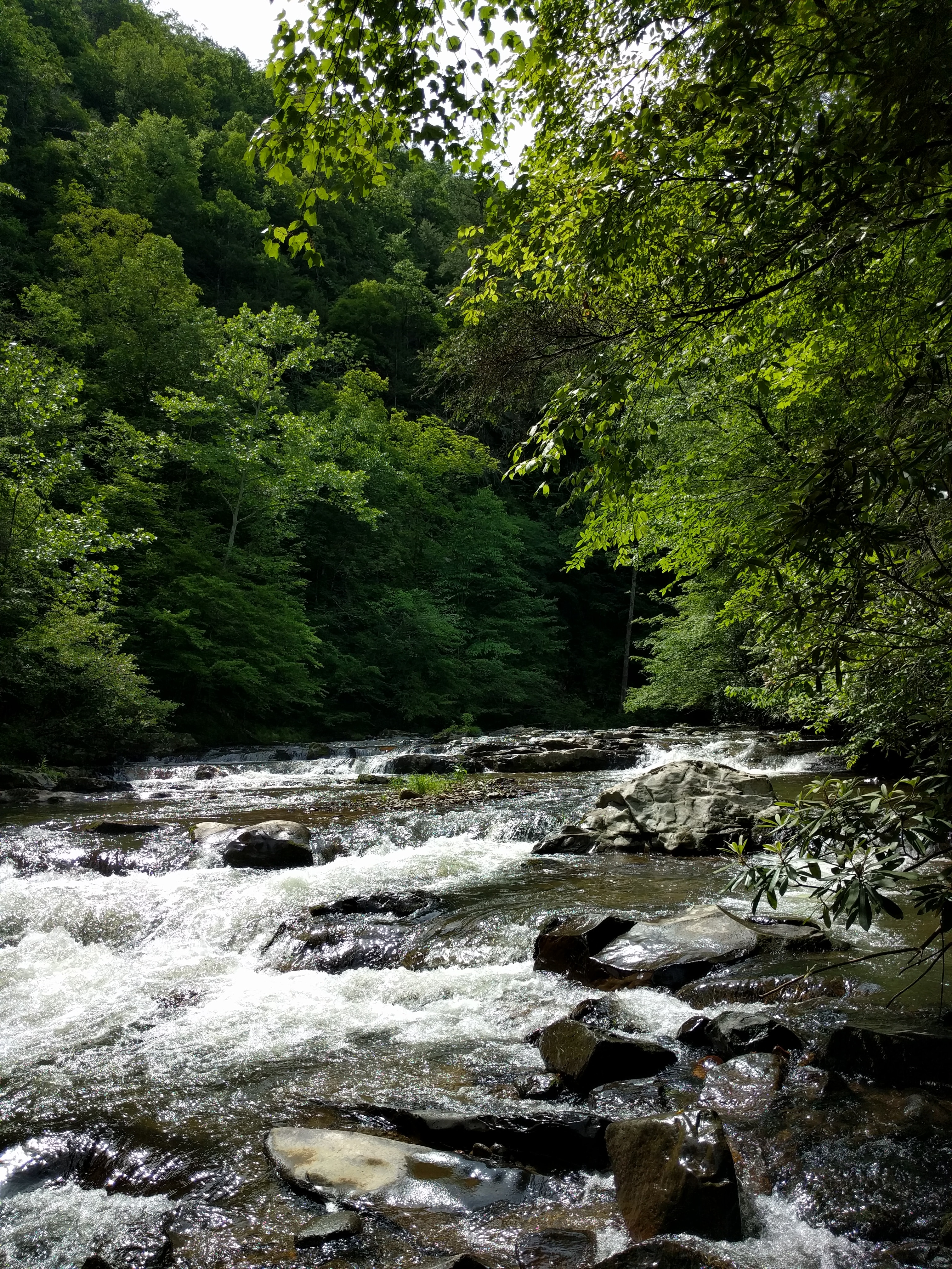 Sights on the hike