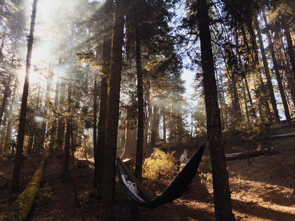 perfect place to hang a hammock and relax 