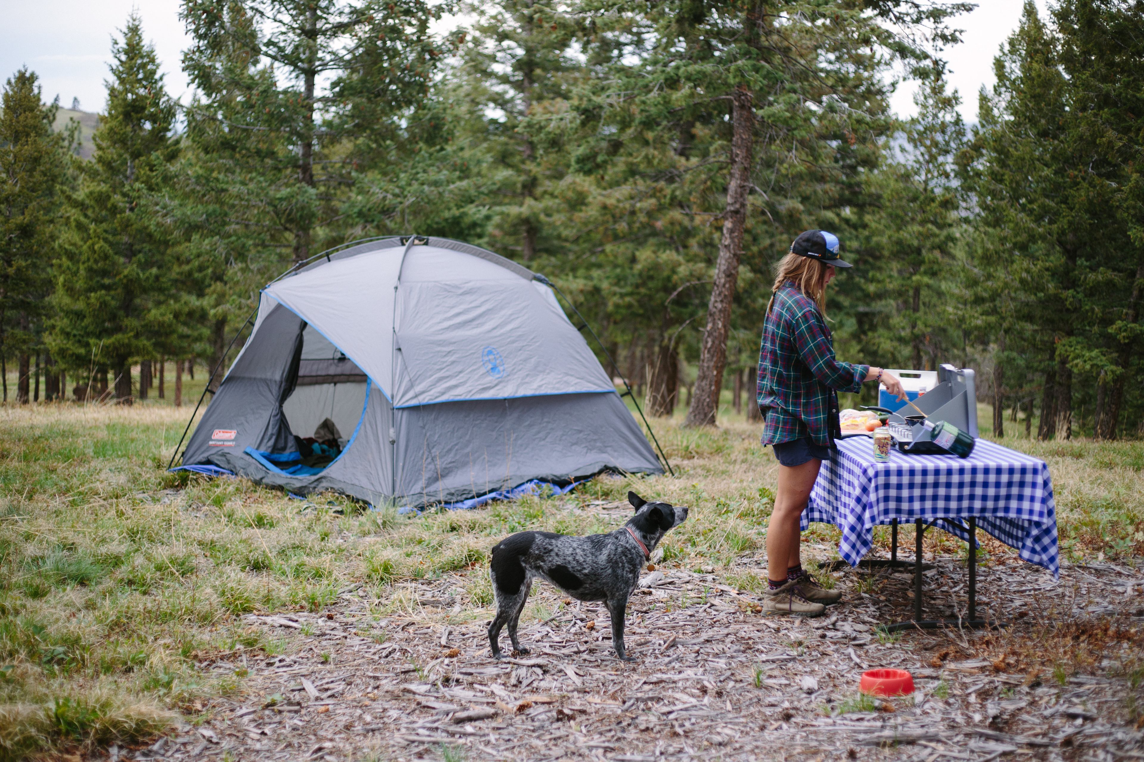 CampCHERIshed