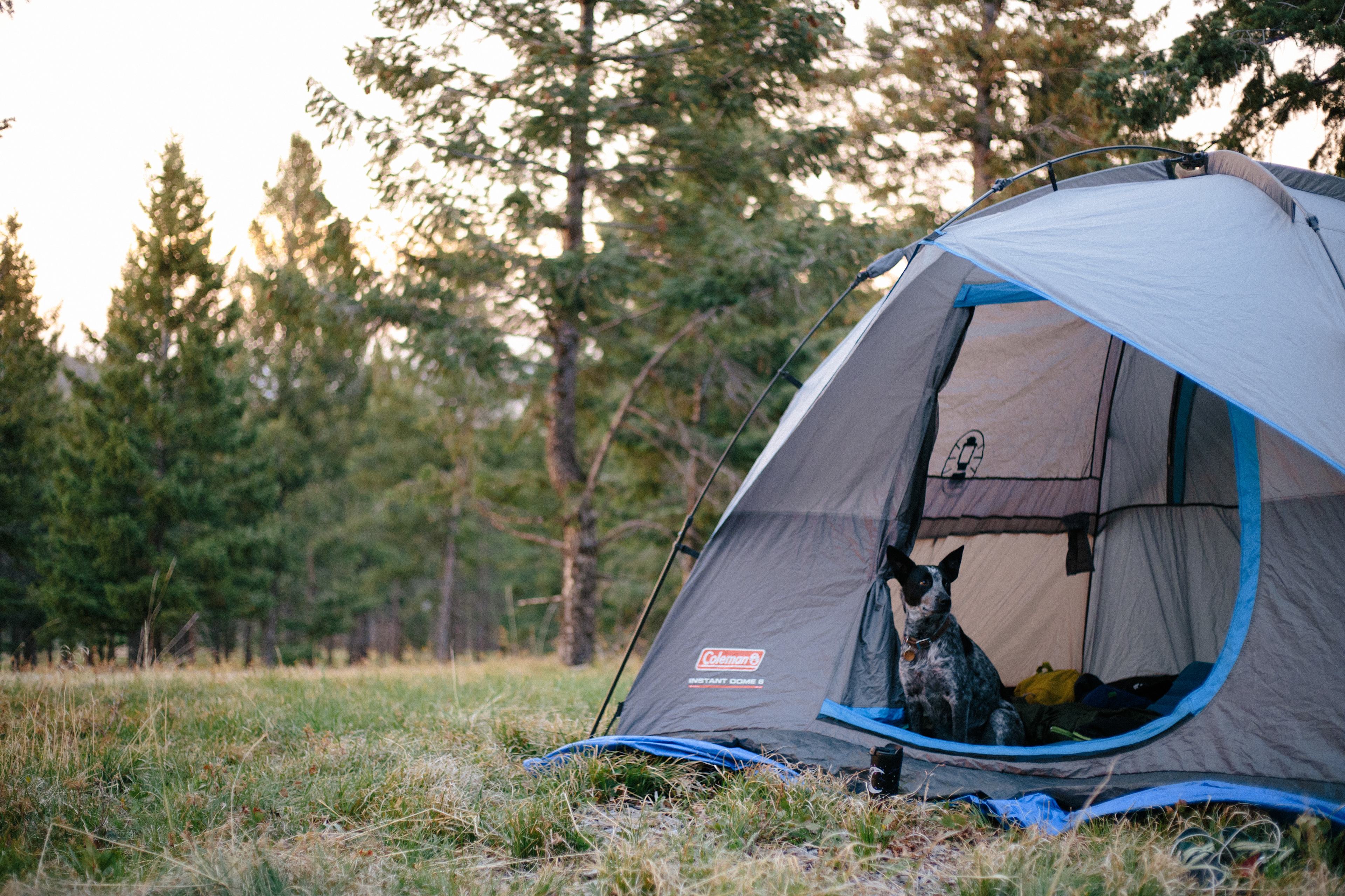 CampCHERIshed-Camp for a Cause!