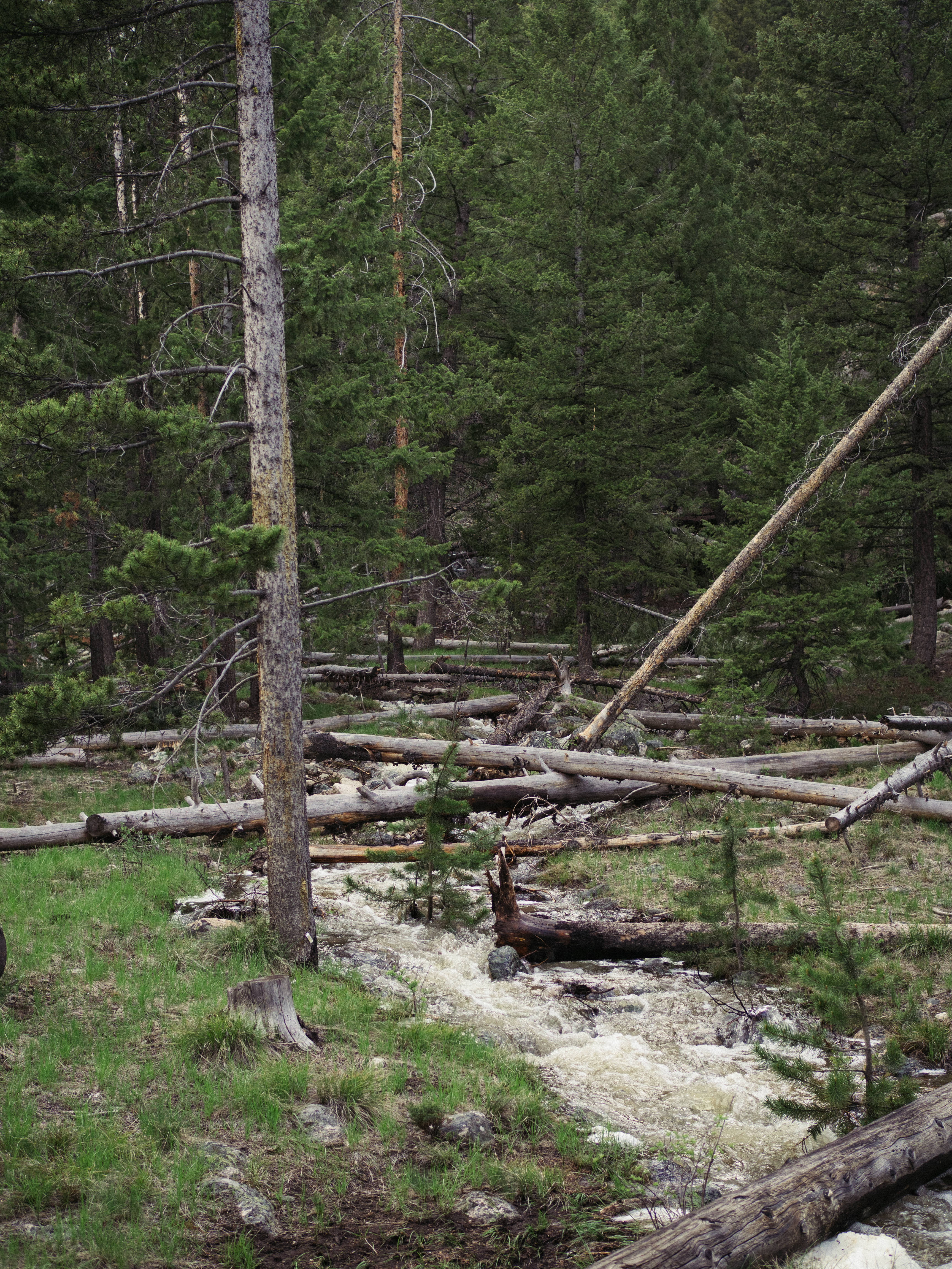 There was a creek nearby, which added some nice ambient noise at night.