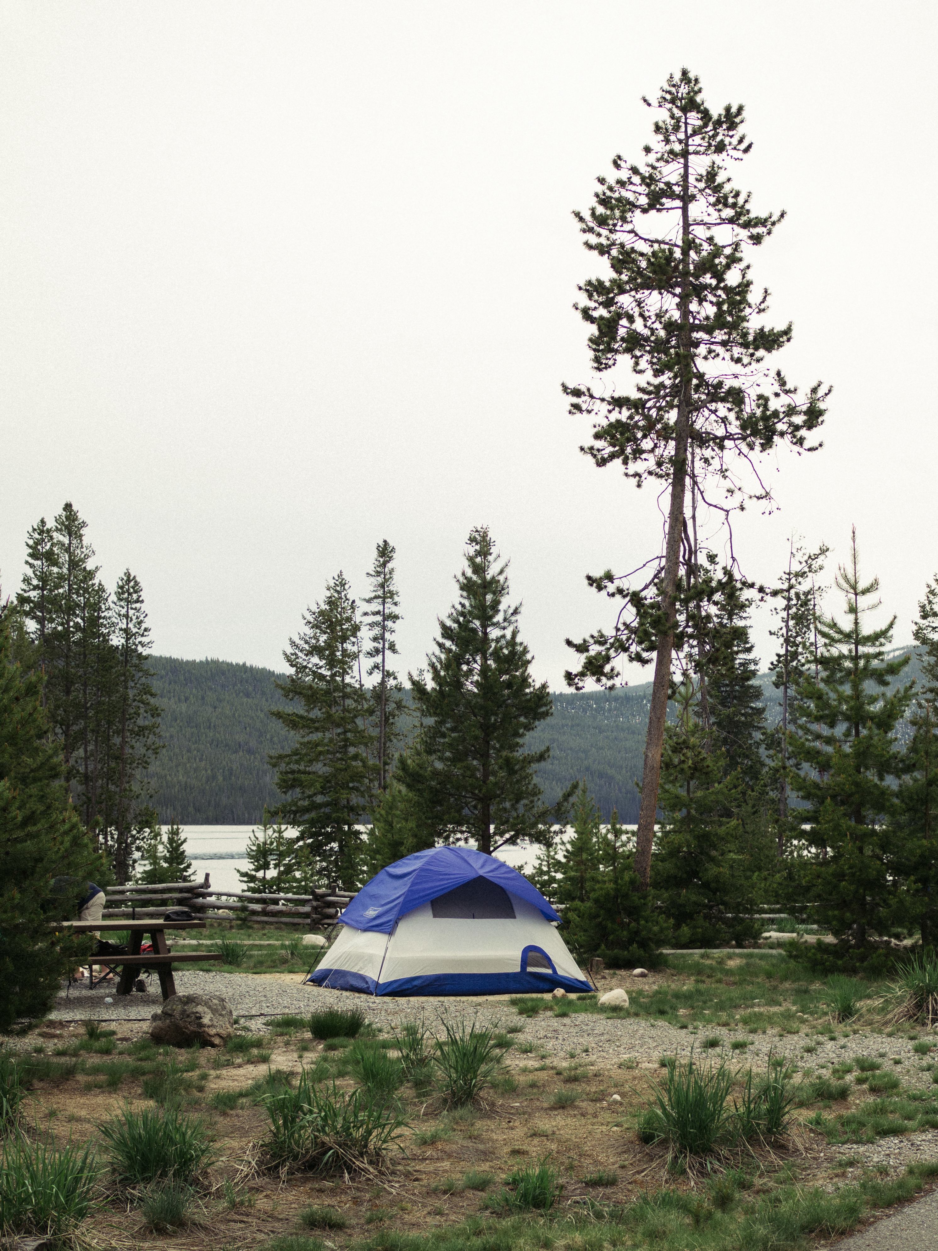 Such a beautiful view.