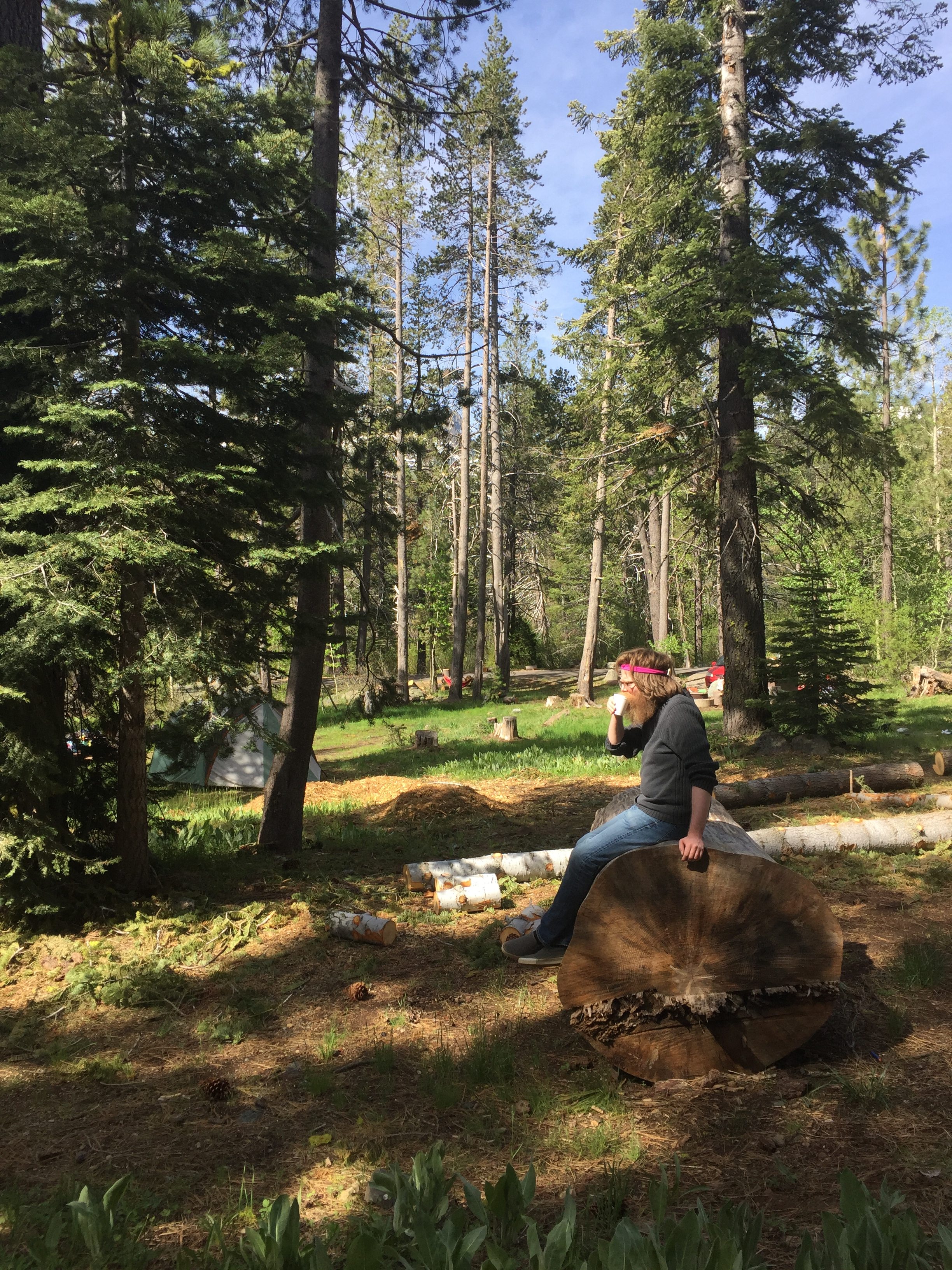 Big log near our site, #4. Campground was well maintained despite all the storms this past winter.