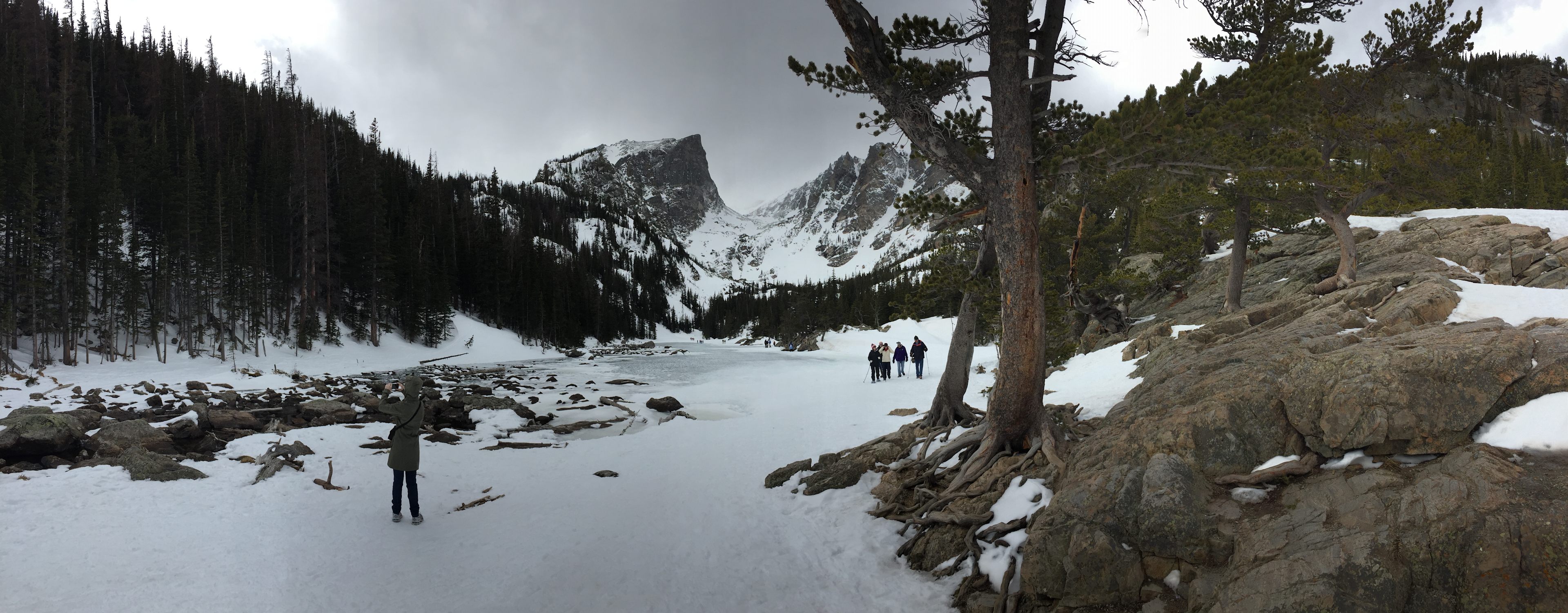 Rocky Branch Shelter #1
