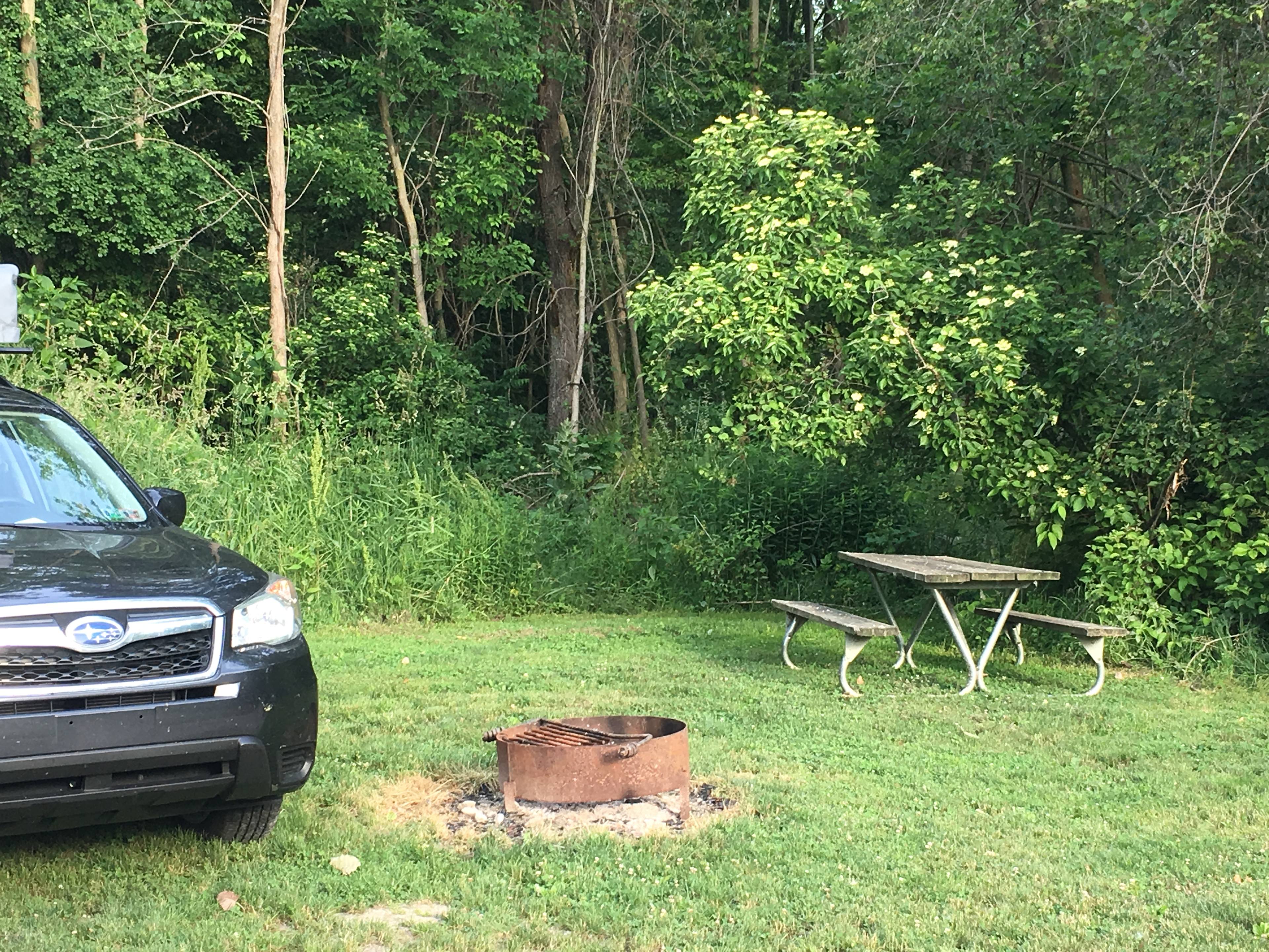 Mary Jane Thurston State Park