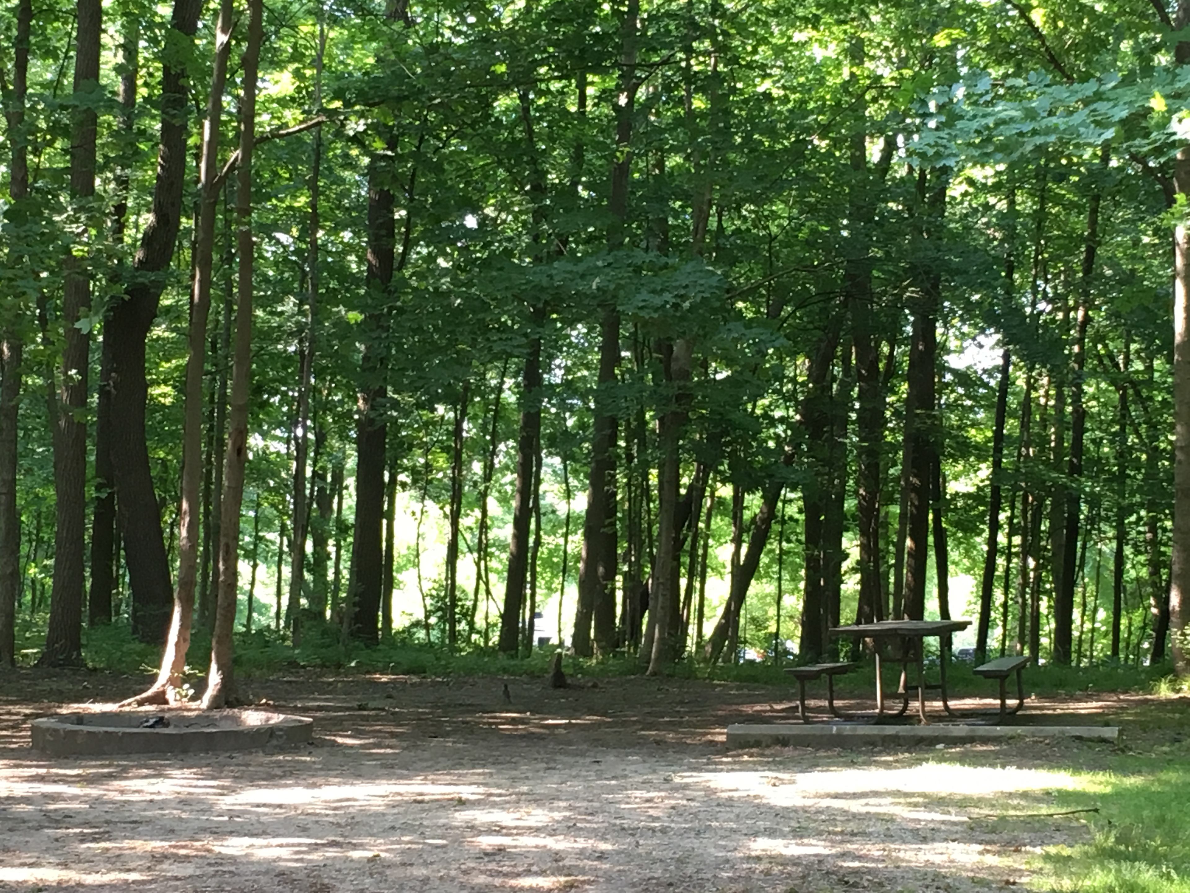 Shabbona Lake State Recreation Area