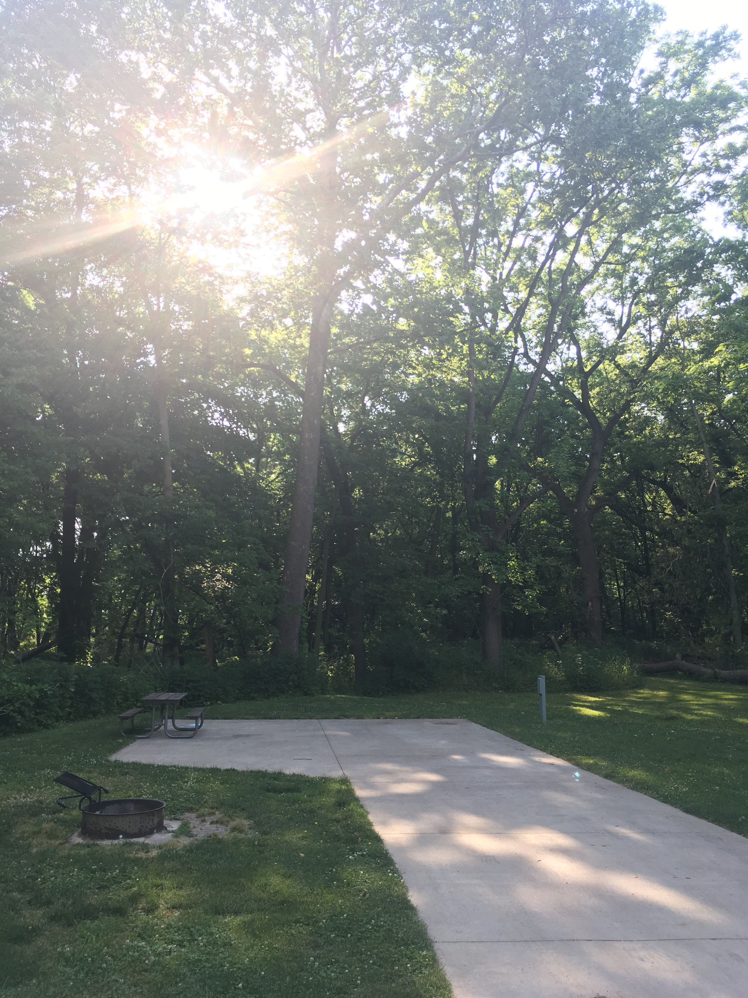 Walnut Woods State Park