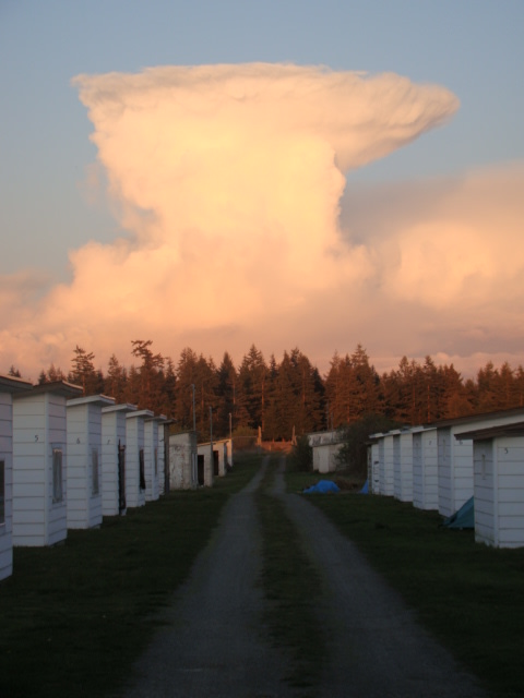 Old brooder coops from pheasant farm days.  One is restored for lodging.  Others are used to cure wood, for storage, etc.