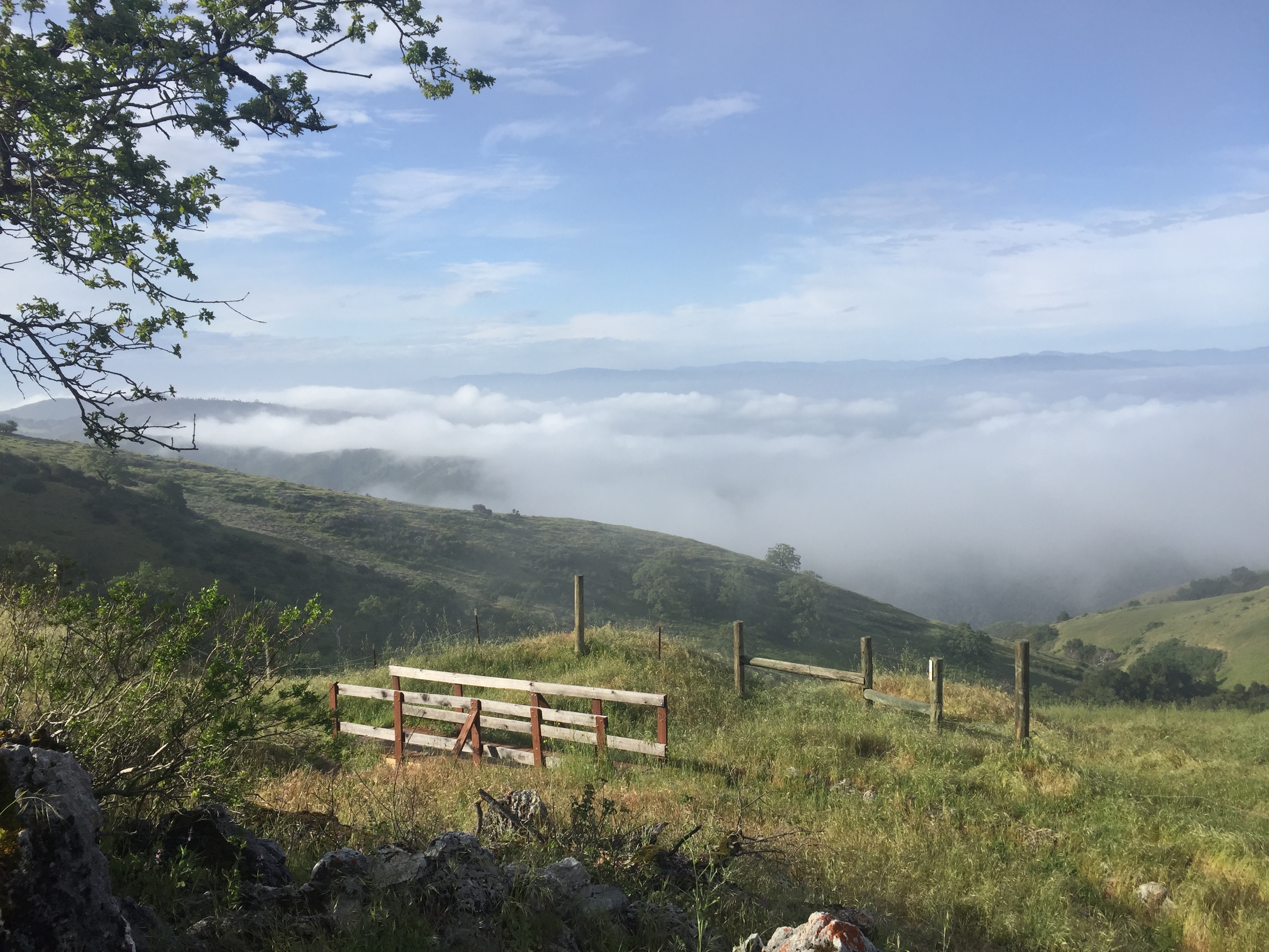 View along Fremont Peak Trail