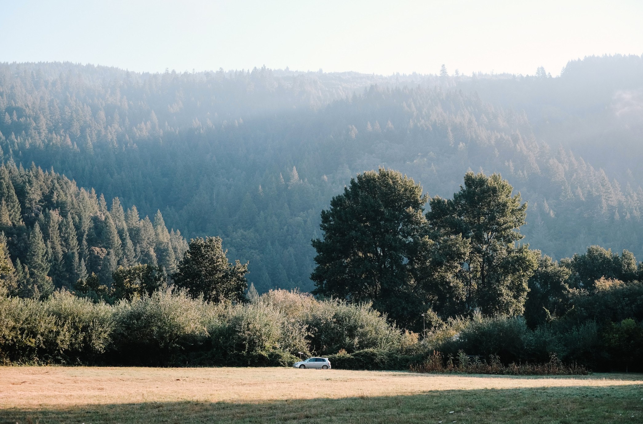Beautiful early morning view of the meadow! Photo by Jay Kijai.
