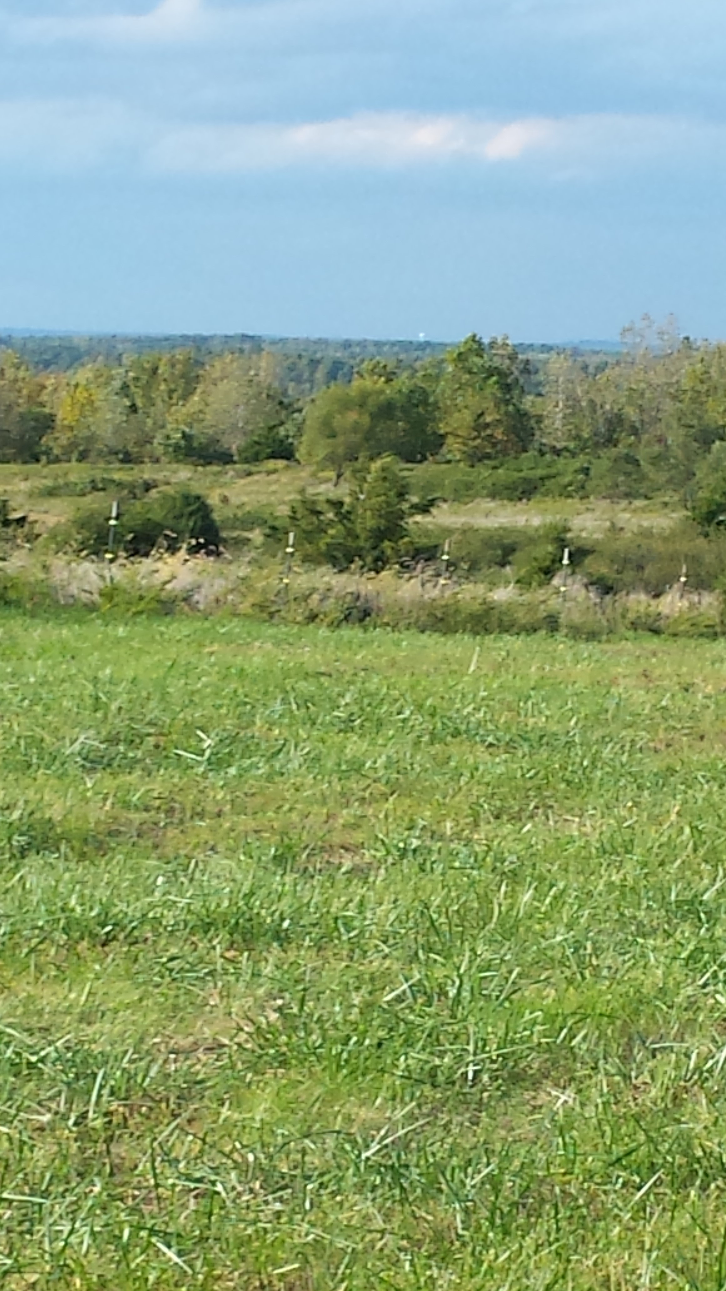 Very High Elevation open pasture. You can see waaaayyy out in the distance. Beautiful Open Country!!