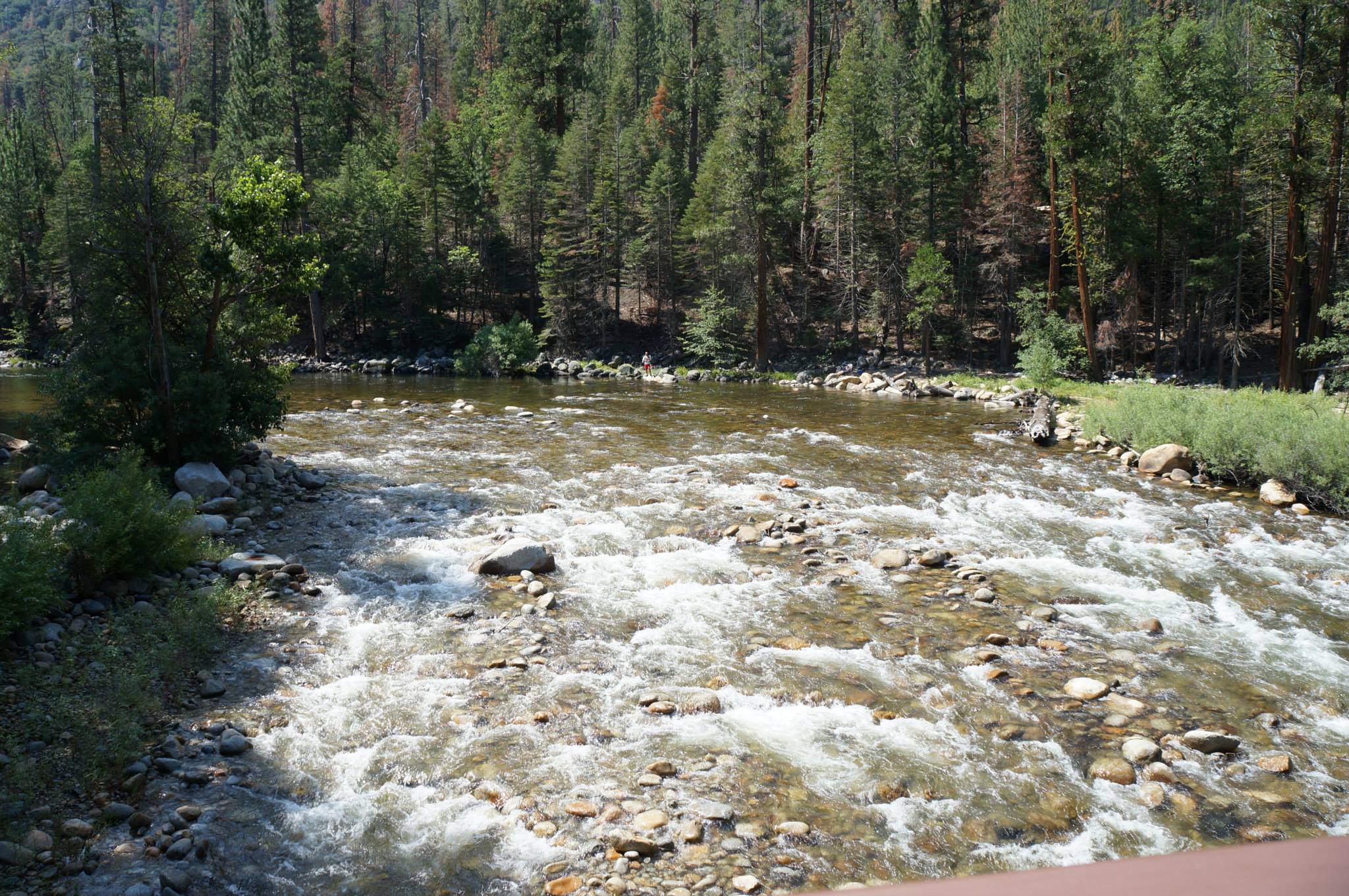 Short walk to Kings River