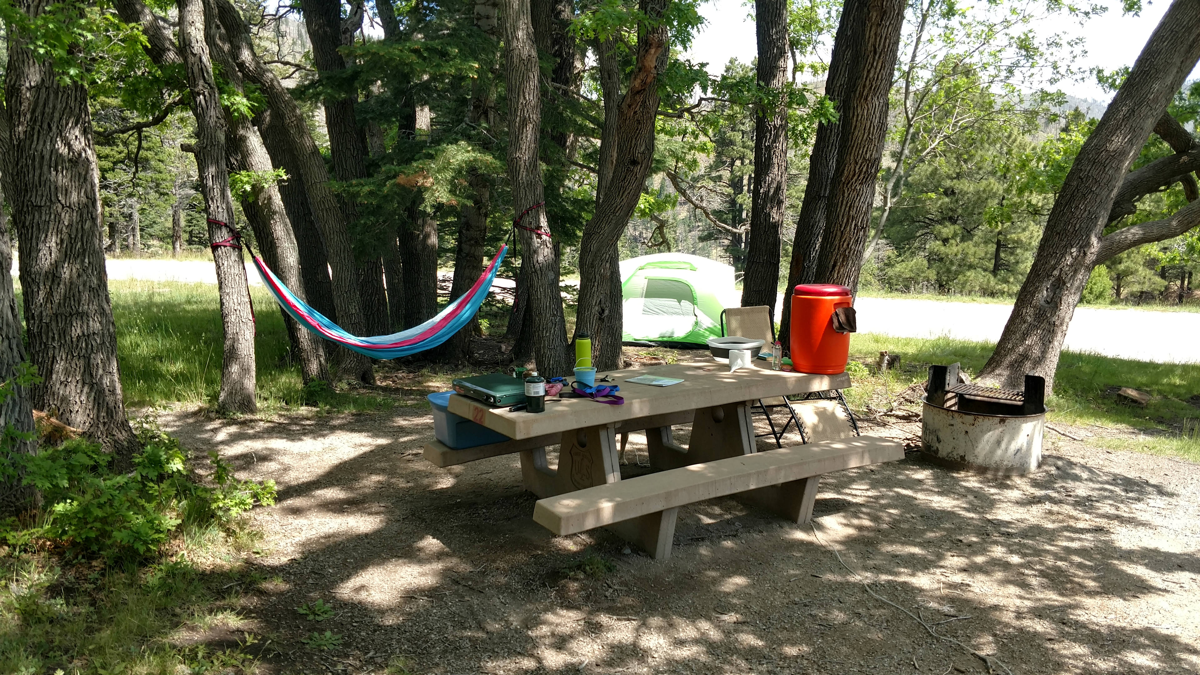 Lincoln National Forest