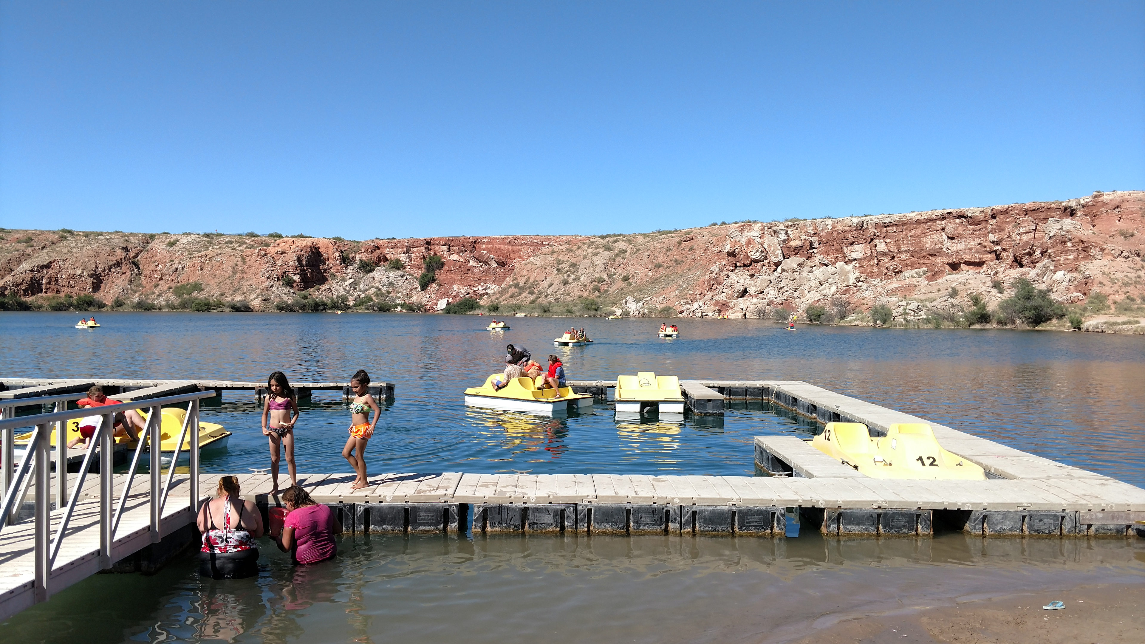 Take a peddle boat out!