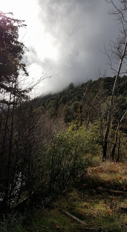 Valley Forge Trail Camp