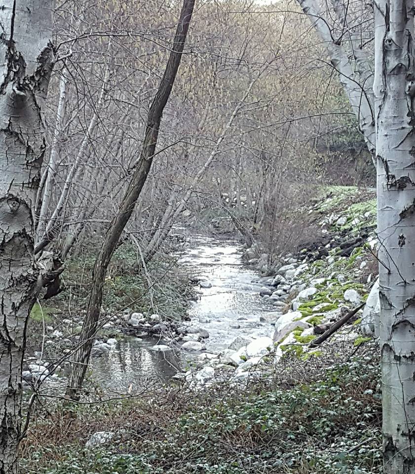 Glenn Camp Campground