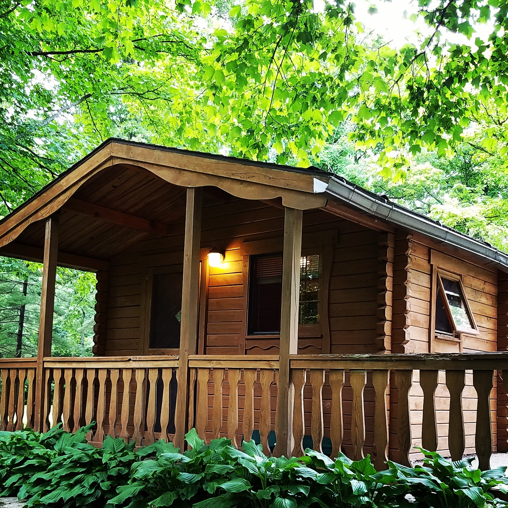 There is one cabin for rent.