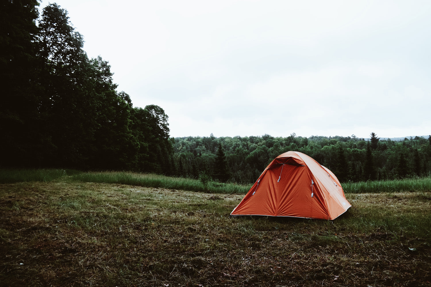 Elmcrest Acres