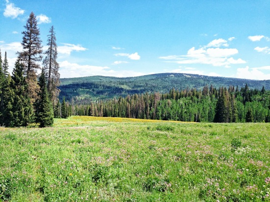 Soapstone Campground