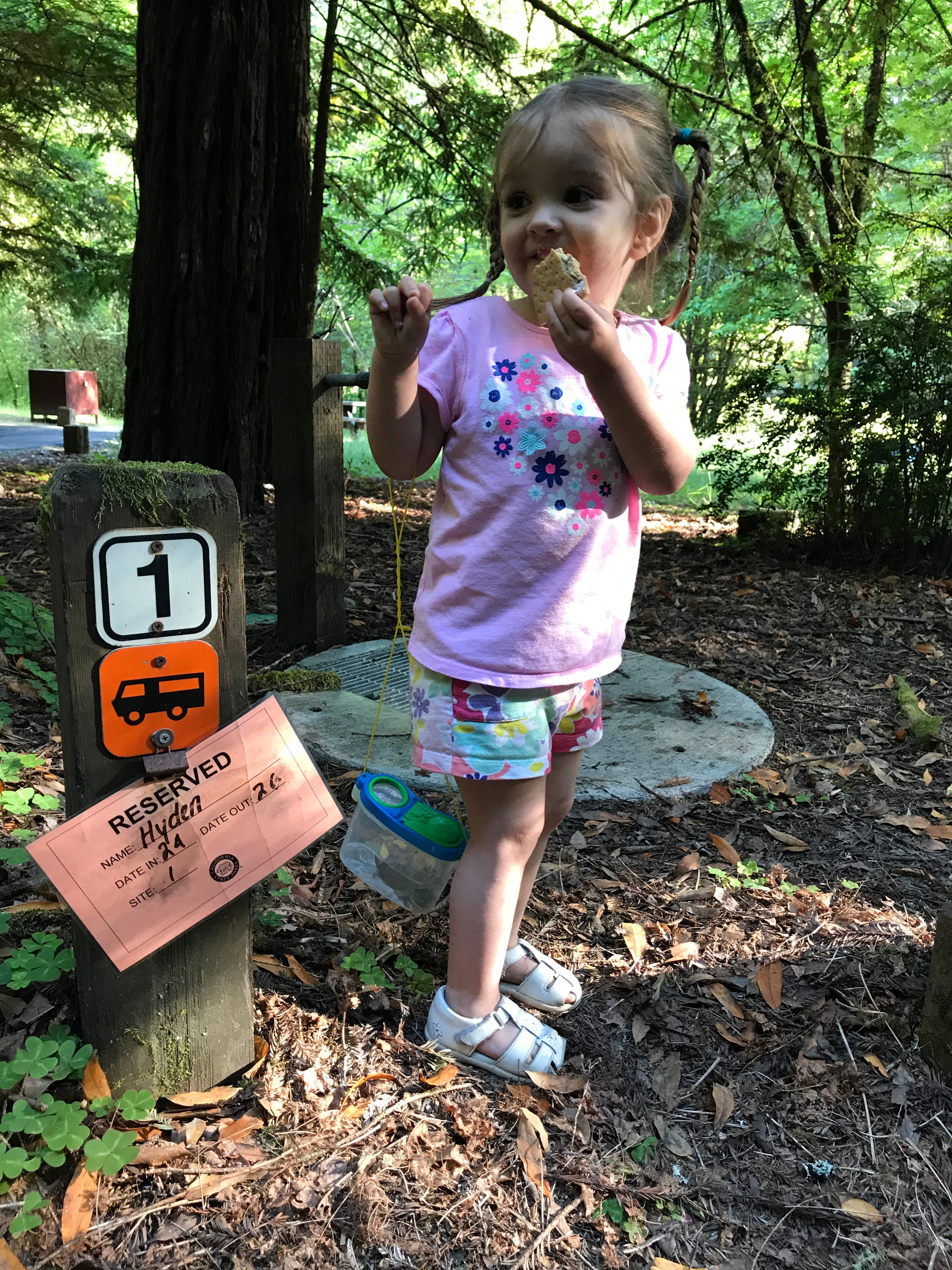 Grizzly Creek Redwoods State Park