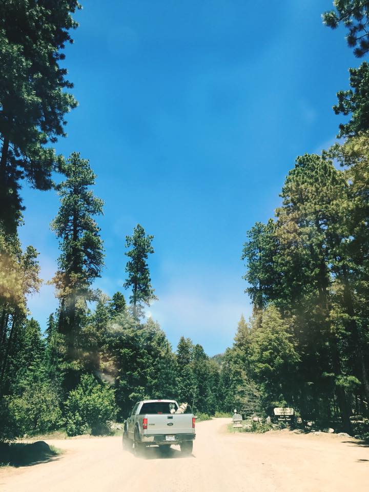 Vallecito Campground