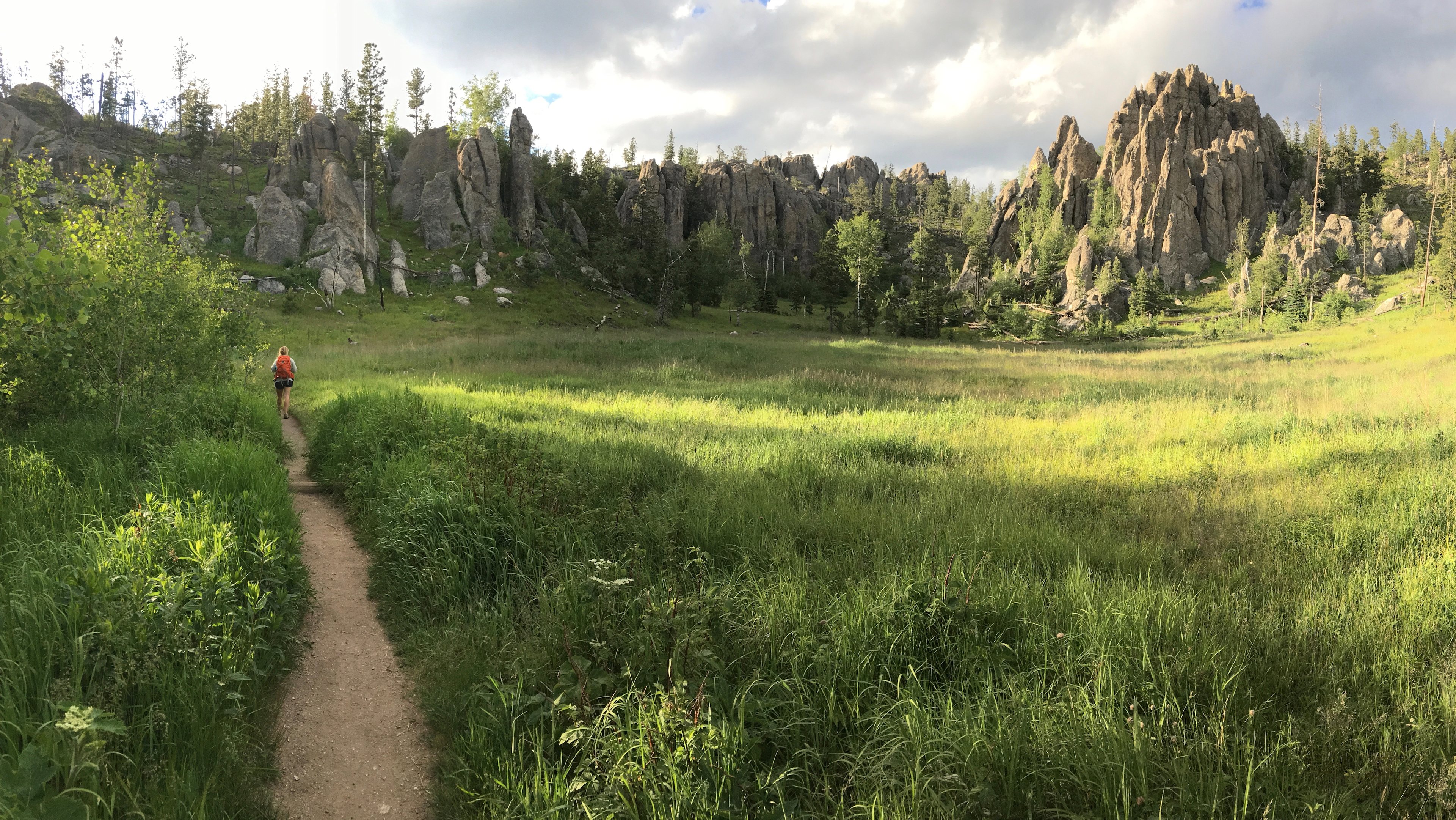 Scattering deer as we descend through beautiful meadow landscapes.