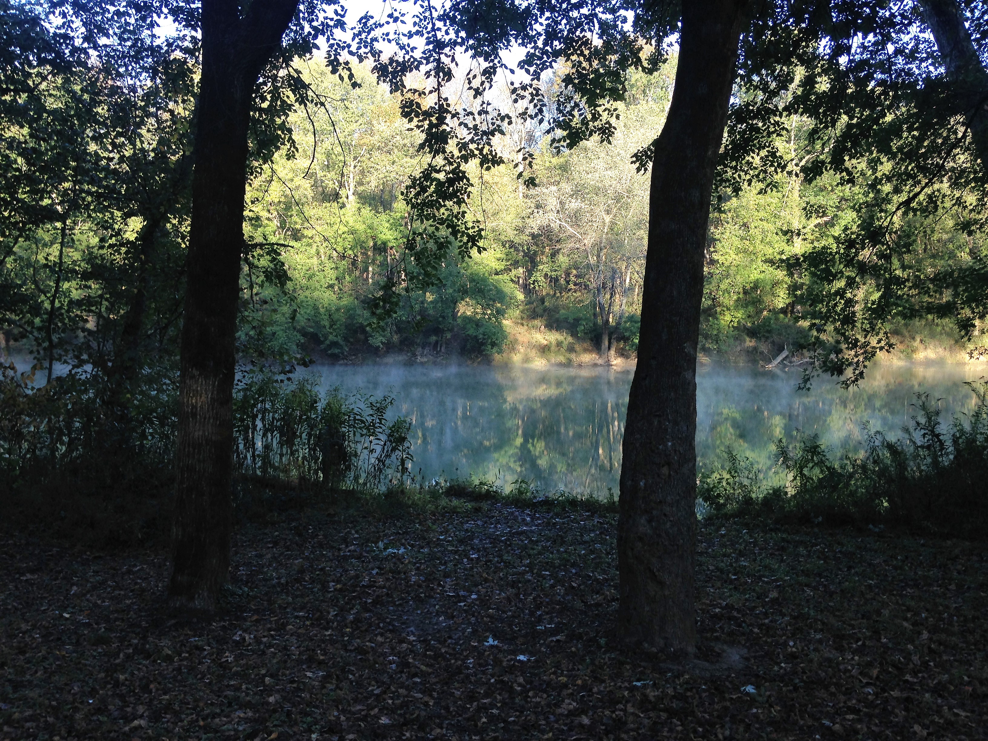 Waterfront camping with plenty of fish for everyone.