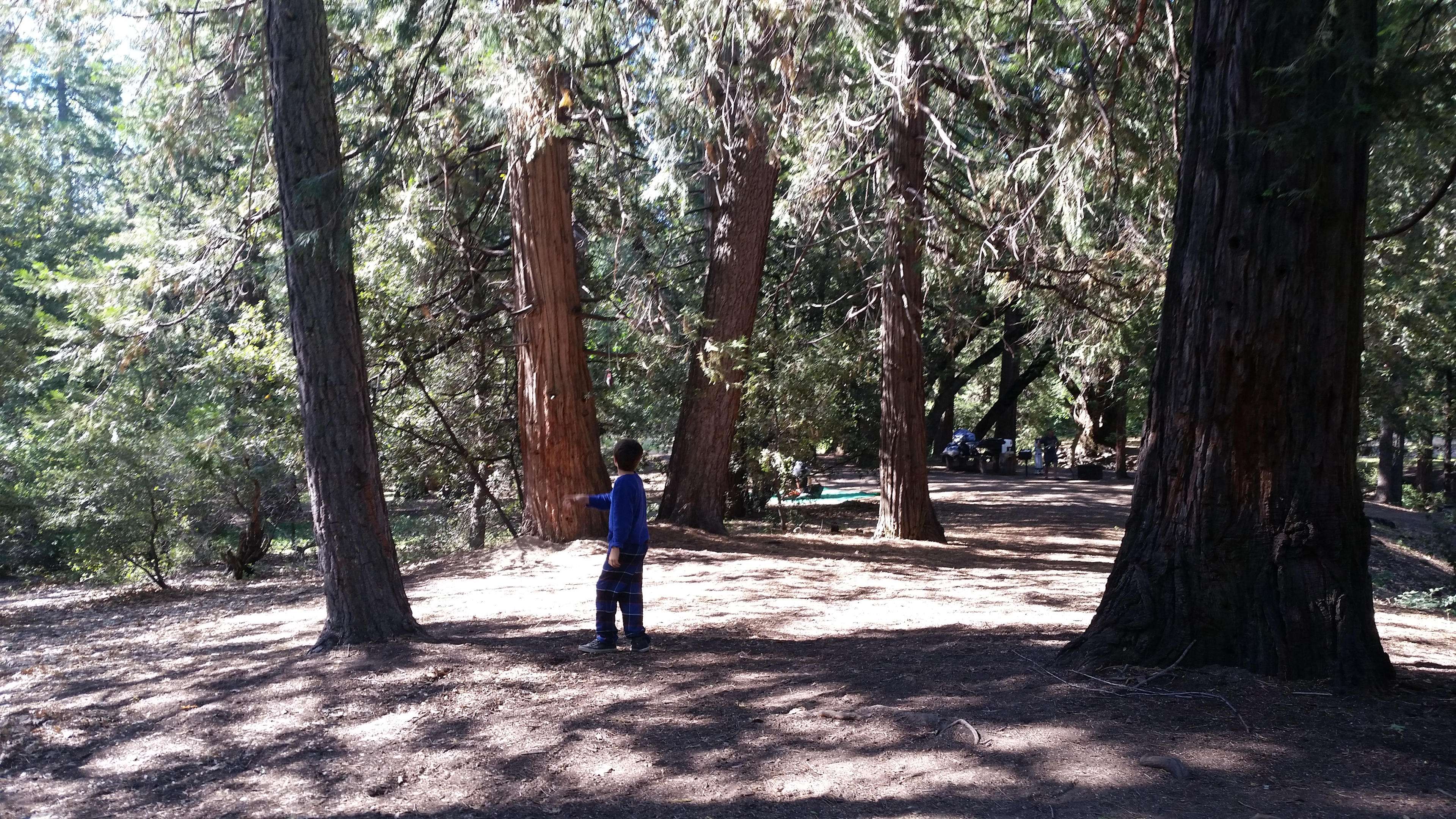 Palomar Mountain State Park