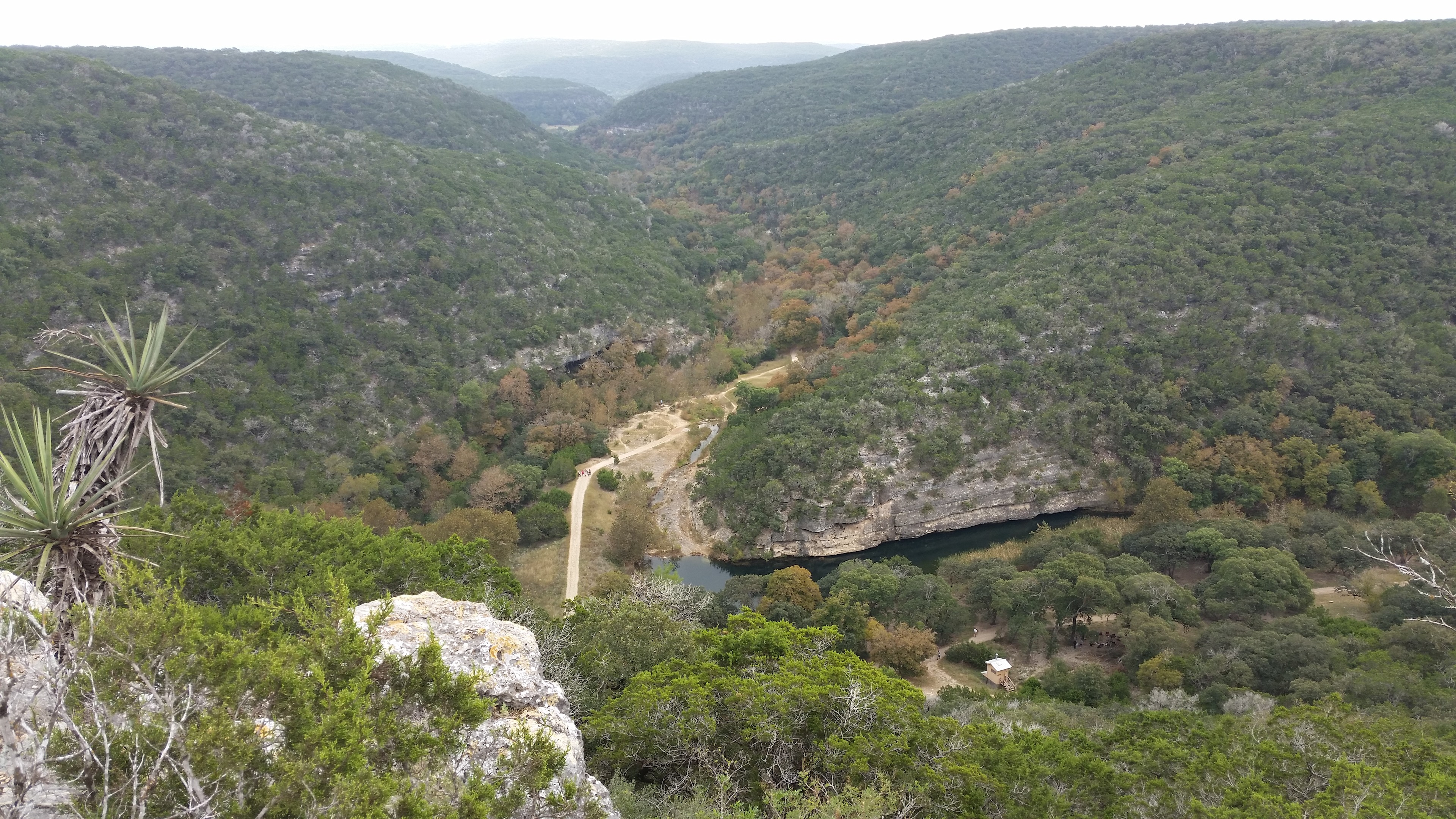 Lost Maples State Natural Area