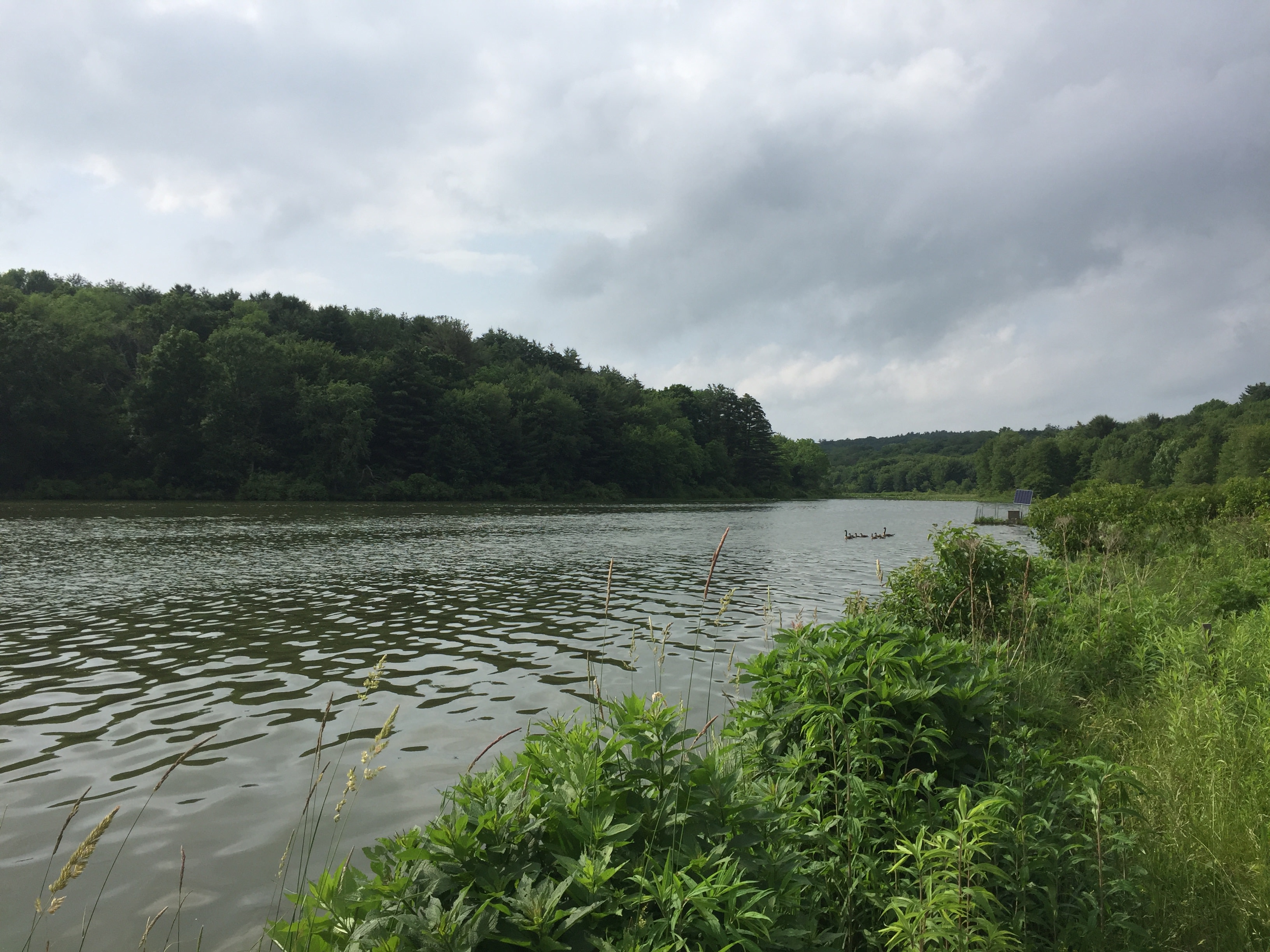 Frances Slocum Park Campground