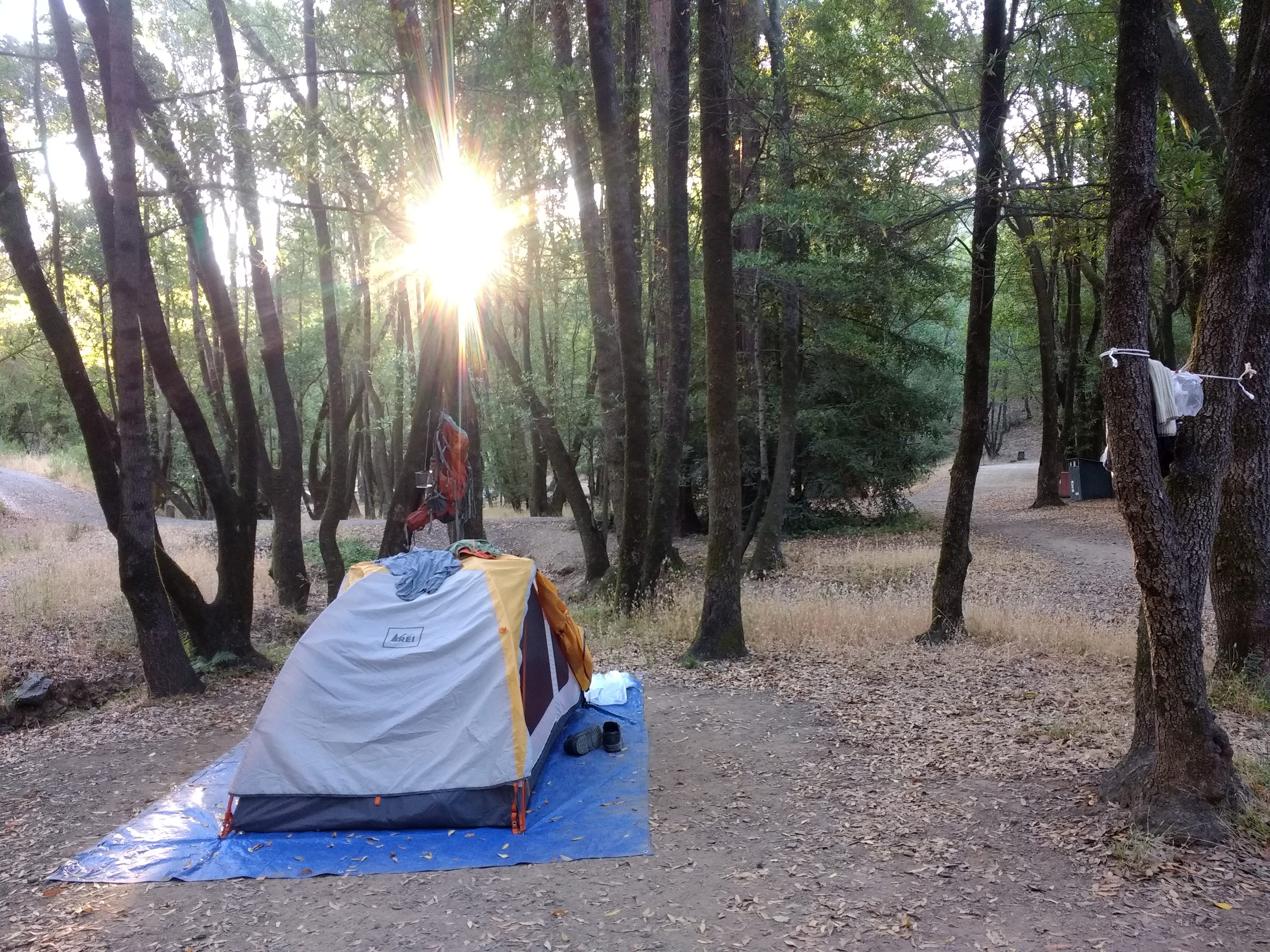 This is a picture of the site #15, facing east. It's a nice site...ground is fairly level, and the bathroom, showers and water are a short distance away.