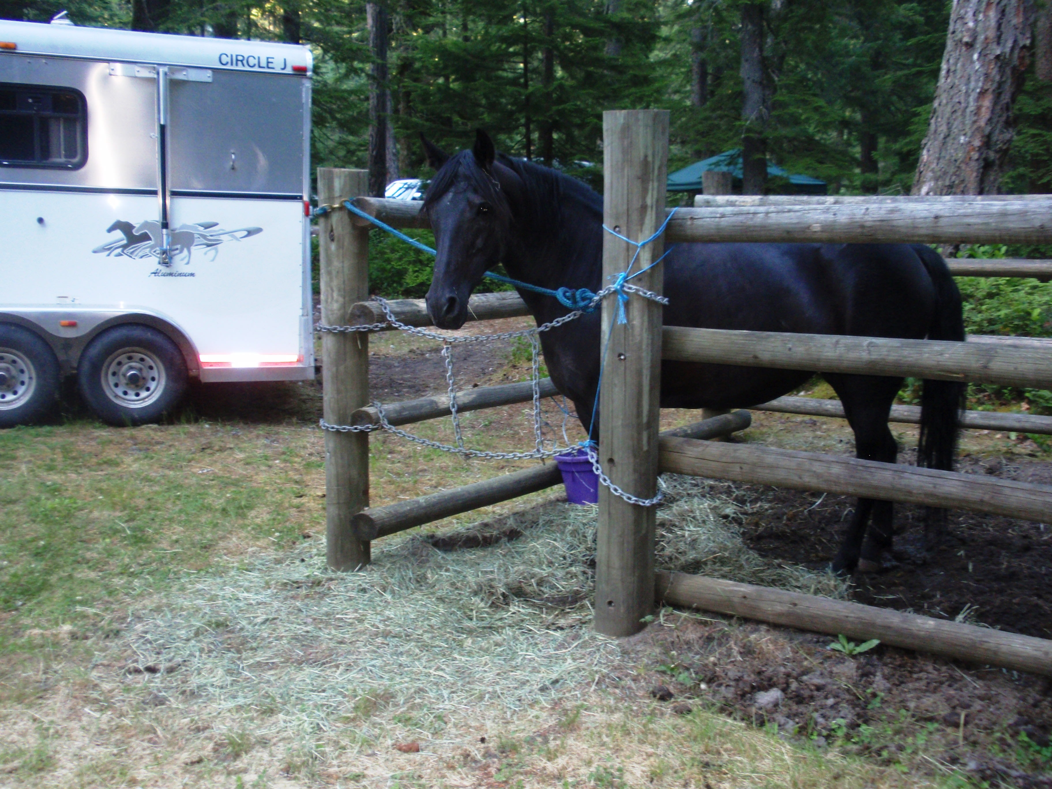 nice sturdy wood pole corrals