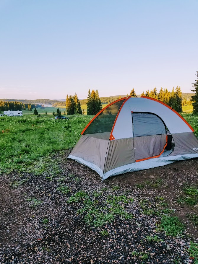 Routt National Forest