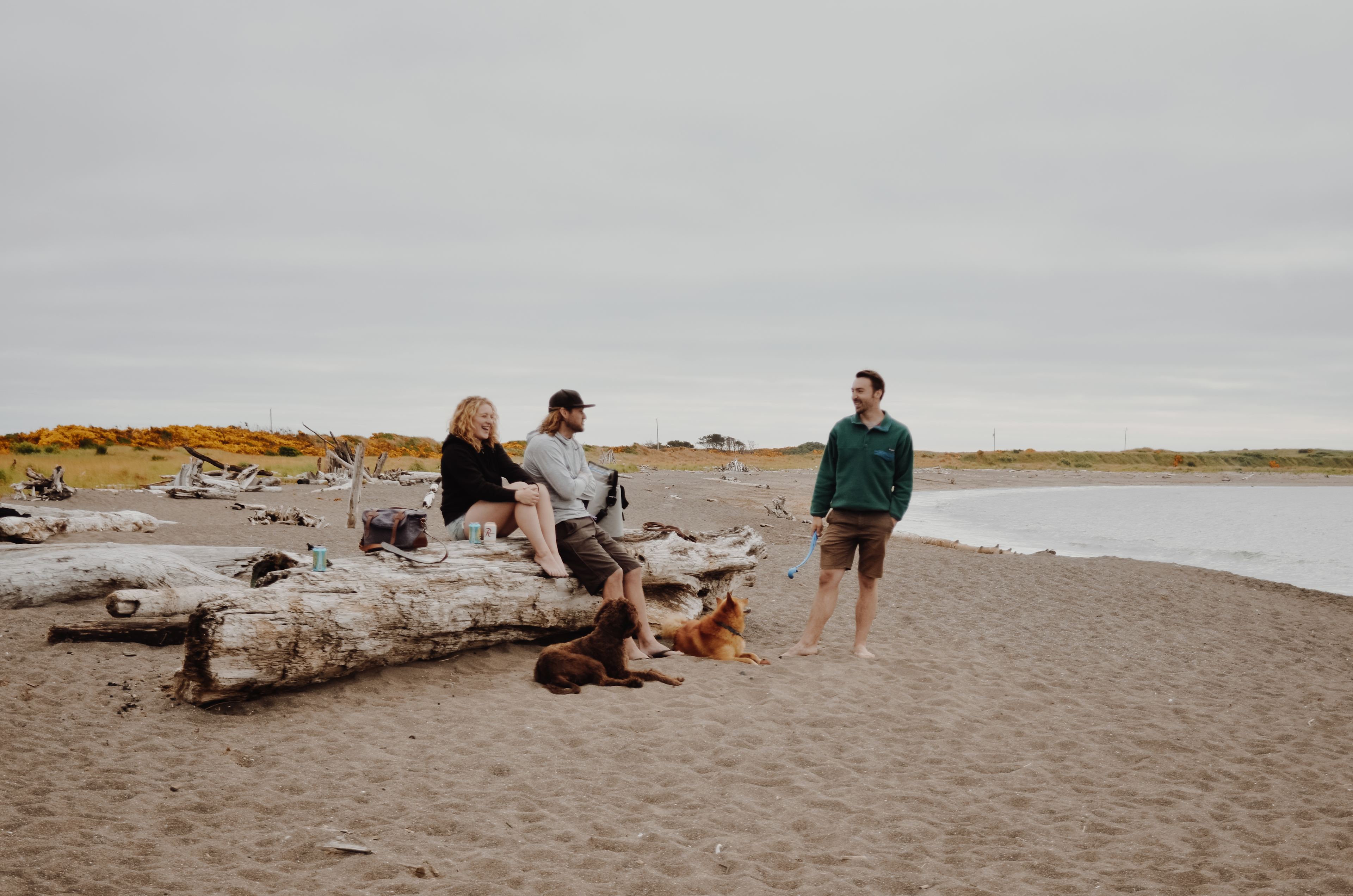 Half Moon Bay has free parking and is really close to camp.