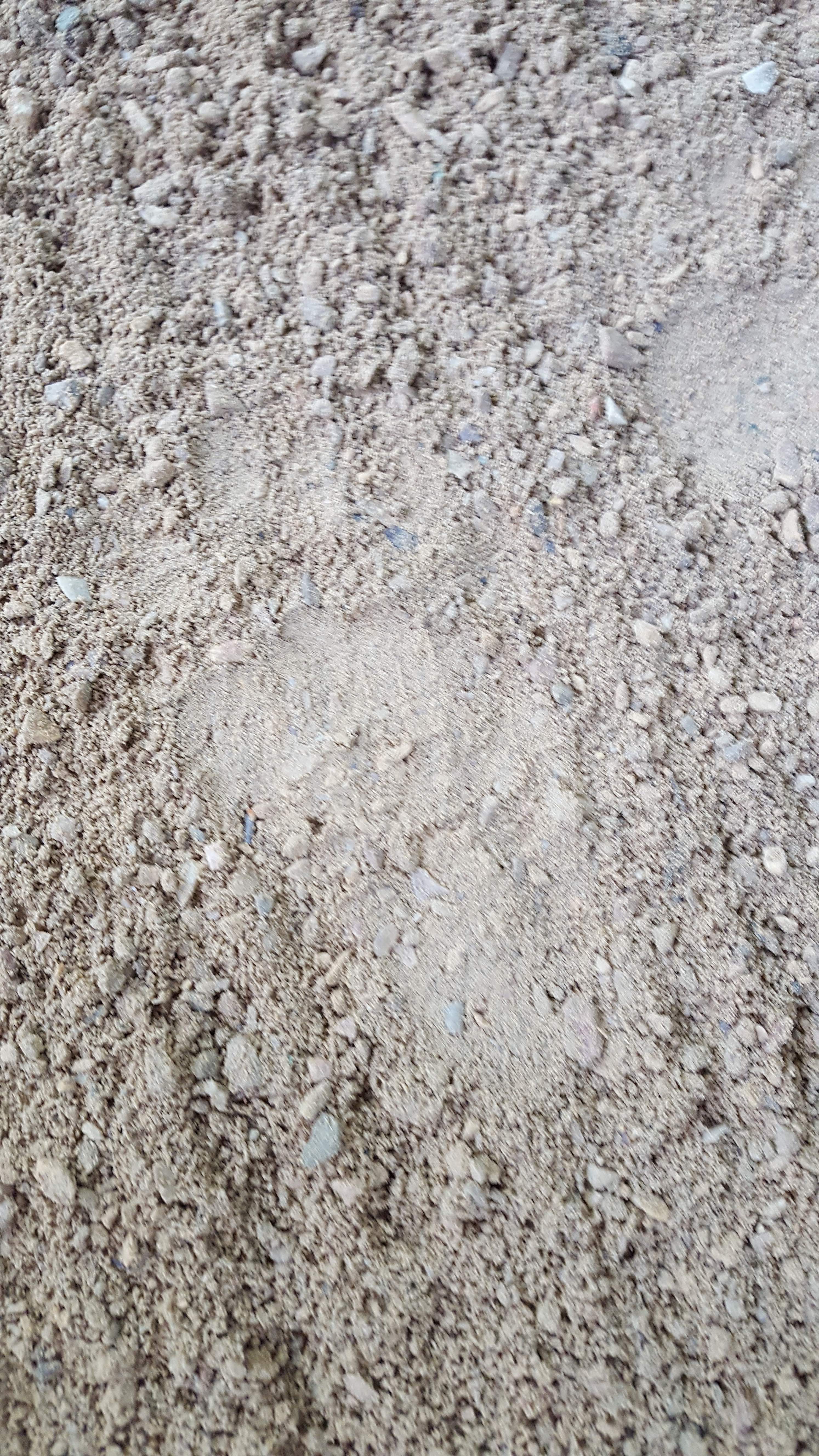 Bear foot print in our campsite made sometime in the night