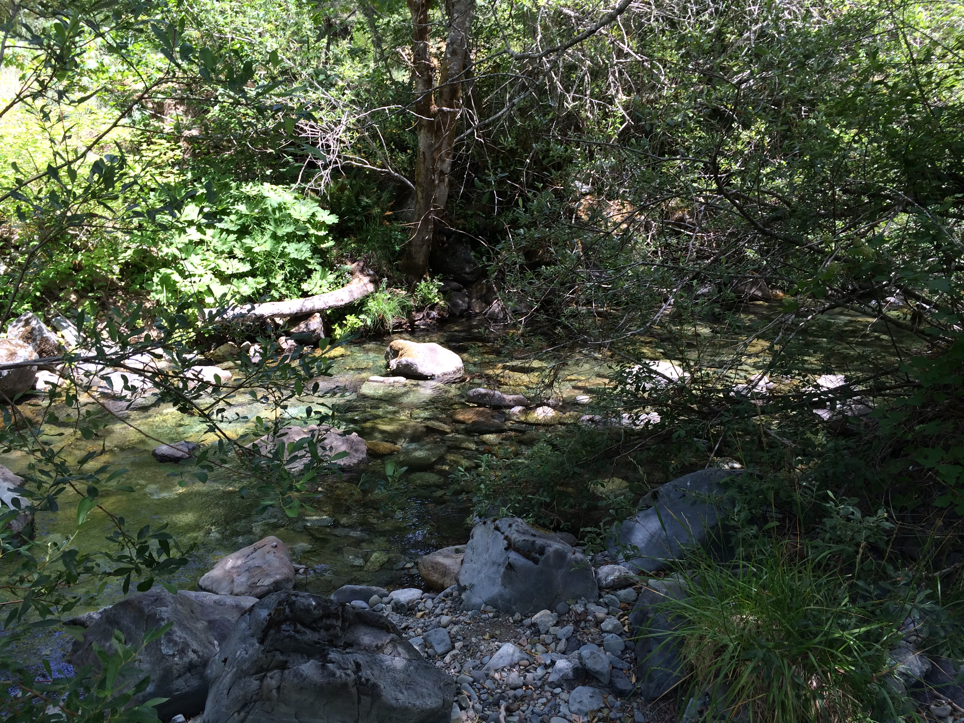 Six Rivers National Forest