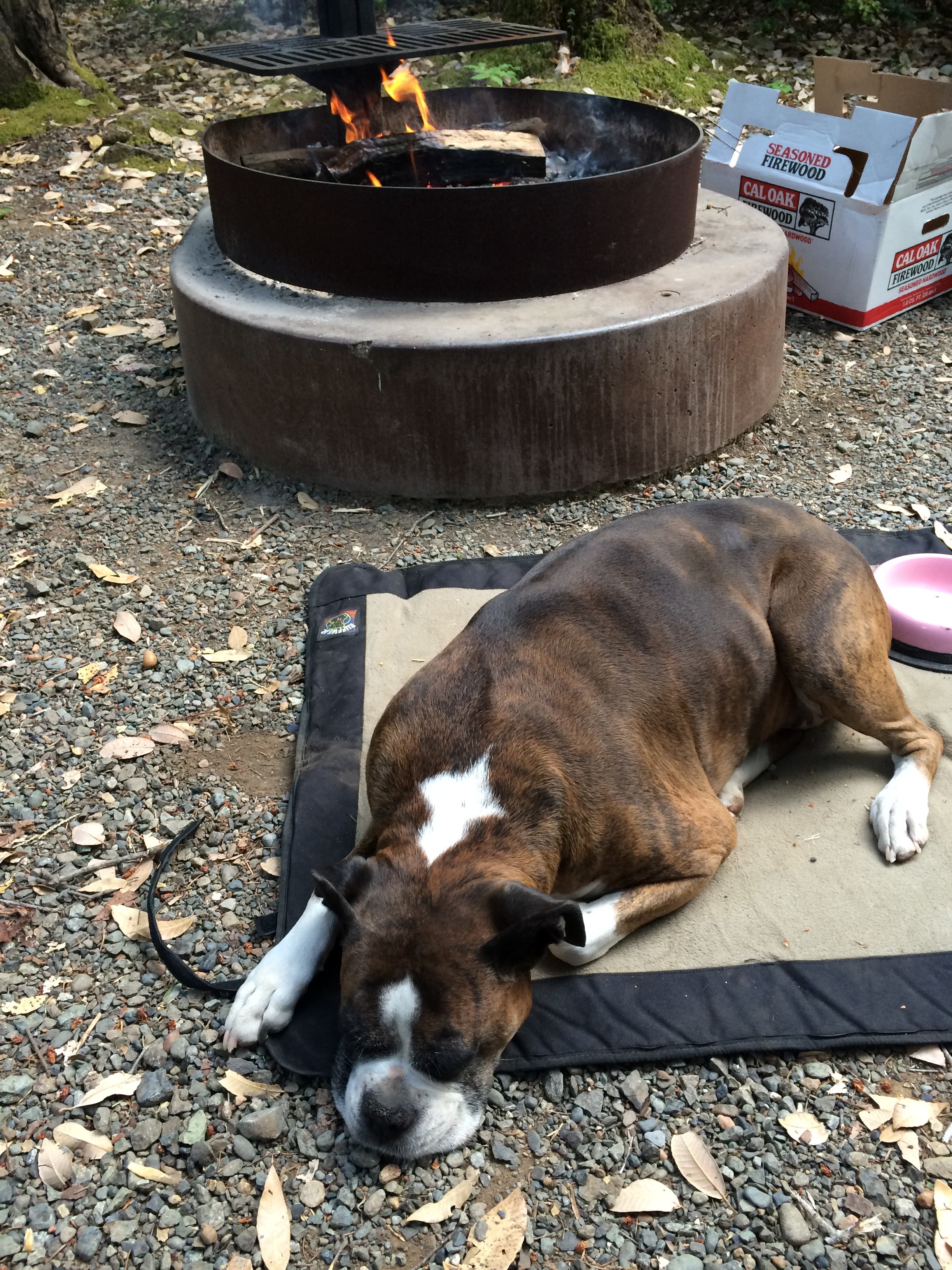 Patrick Creek Campground